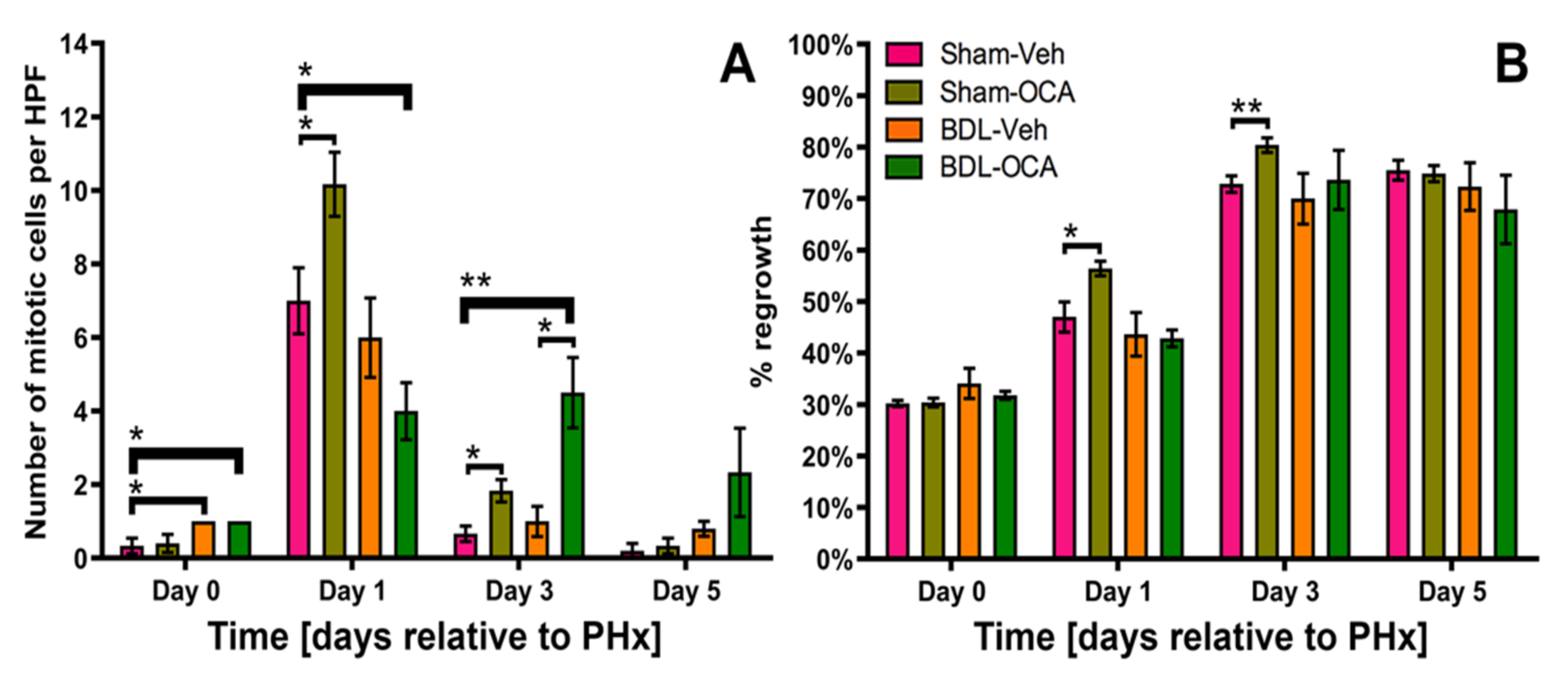 Biomolecules 11 00260 g004 Biomolecules 11 00260 g004