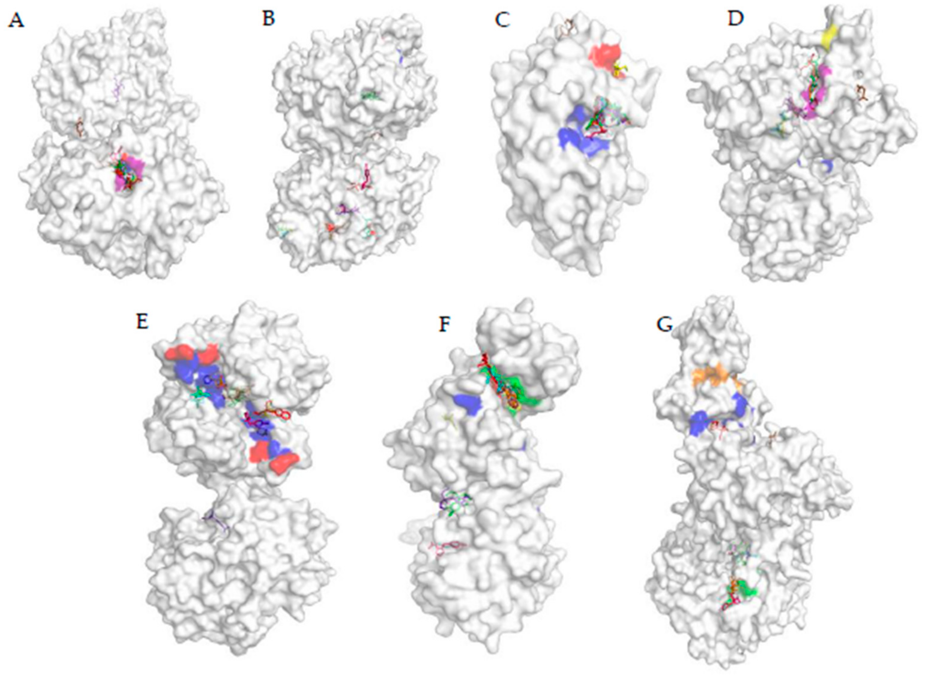 Biomolecules 11 00261 g004