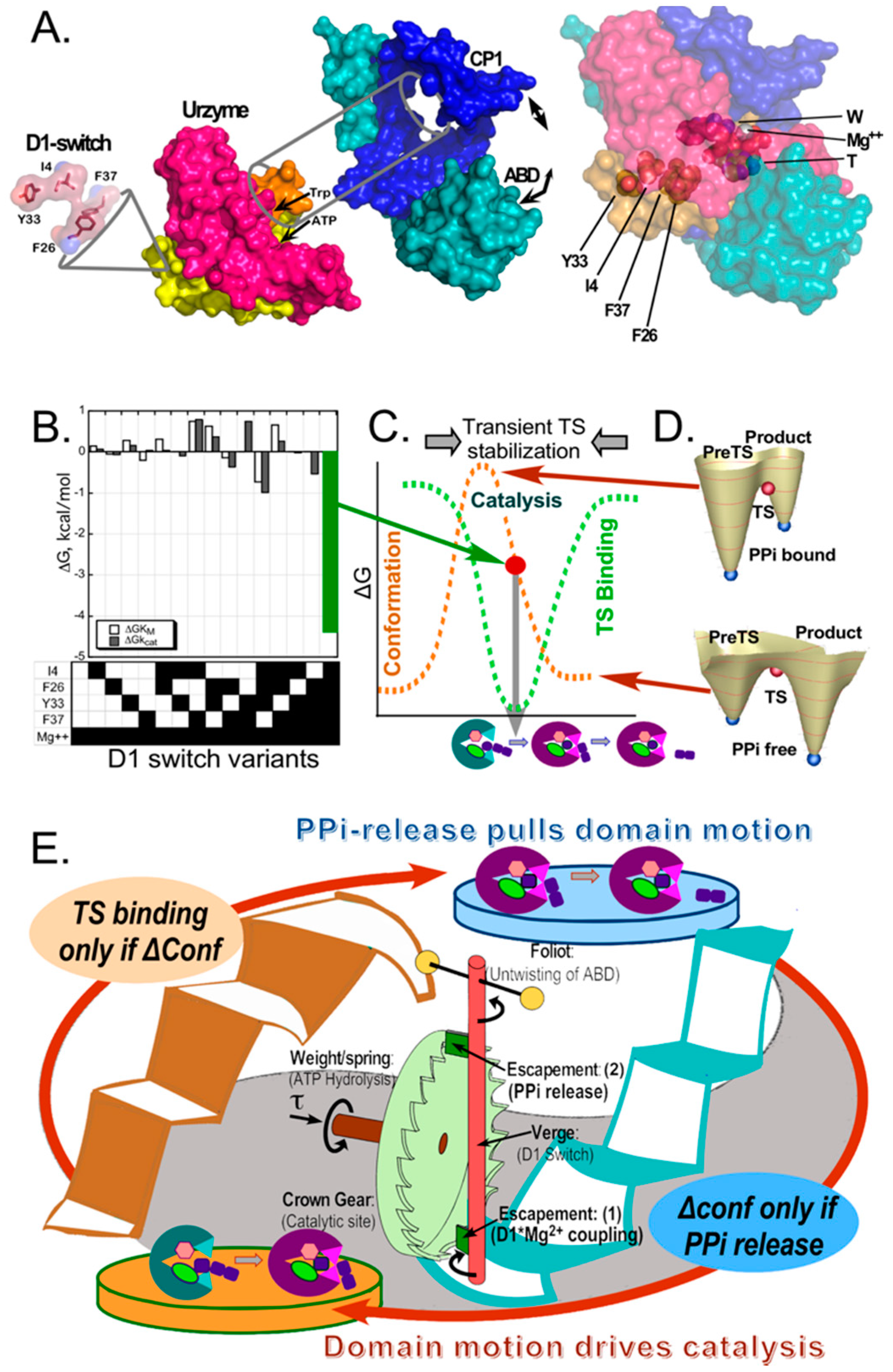 Biomolecules 11 00265 g002 Biomolecules 11 00265 g002