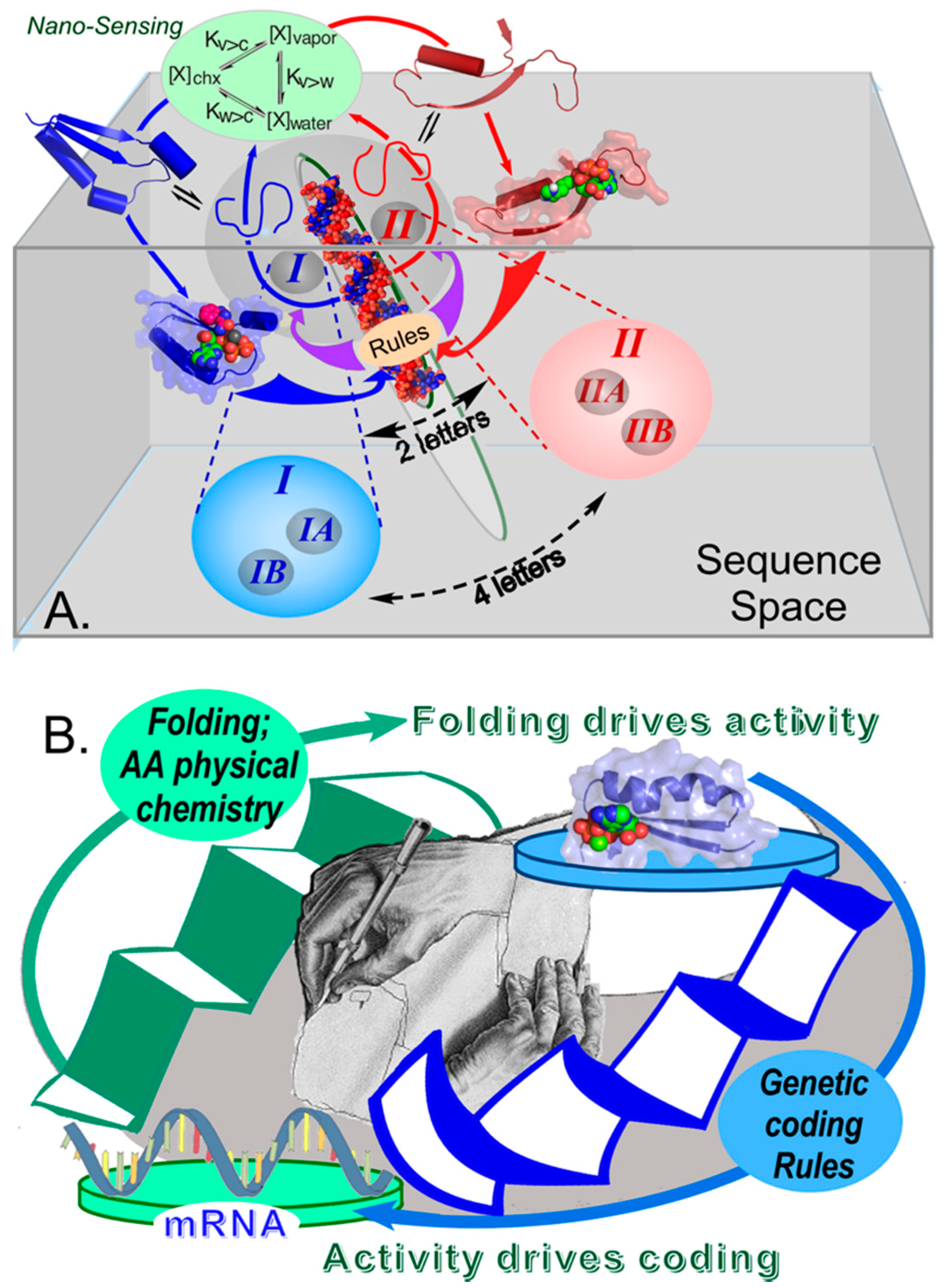 Biomolecules 11 00265 g003 Biomolecules 11 00265 g003