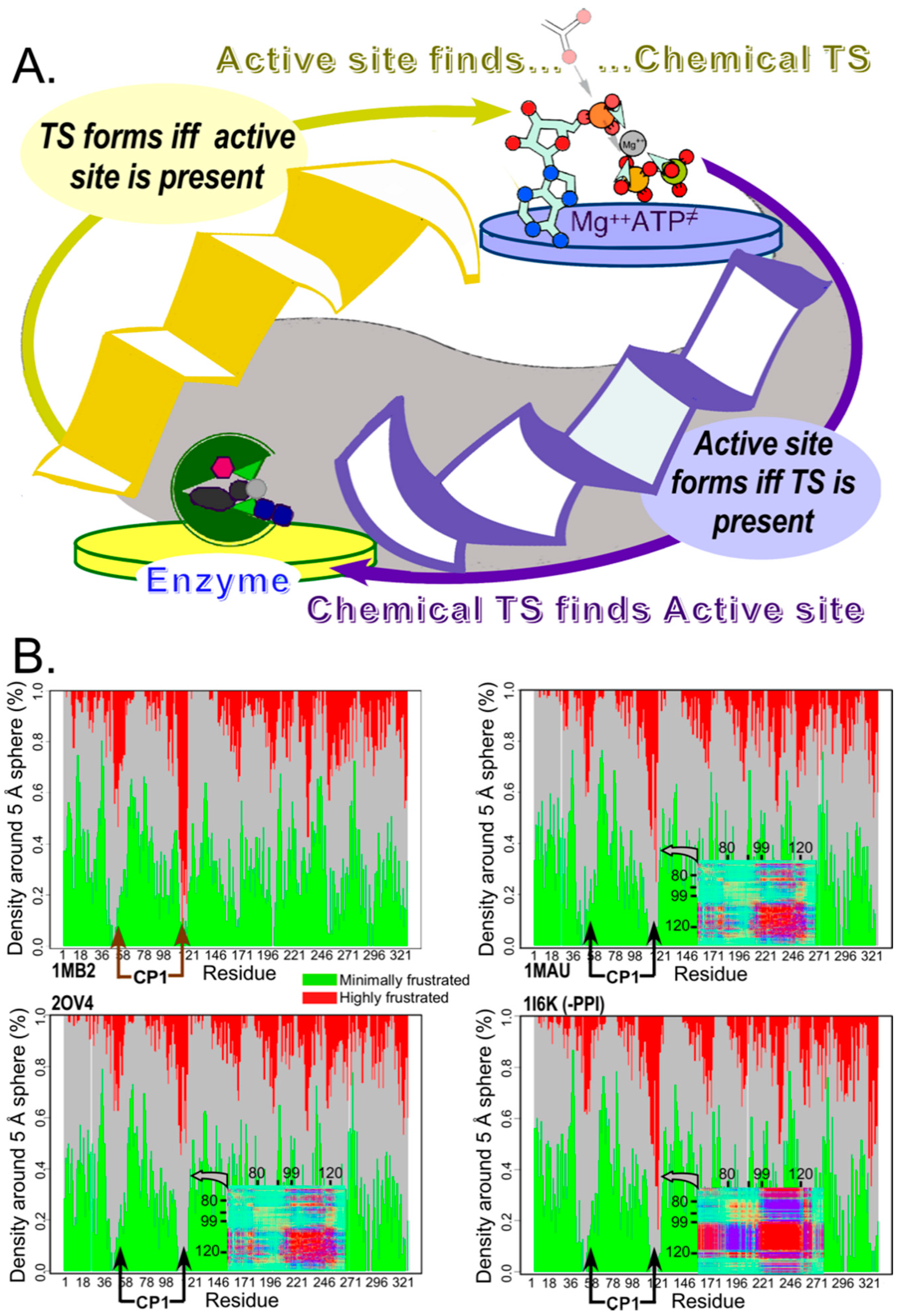 Biomolecules 11 00265 g004 Biomolecules 11 00265 g004