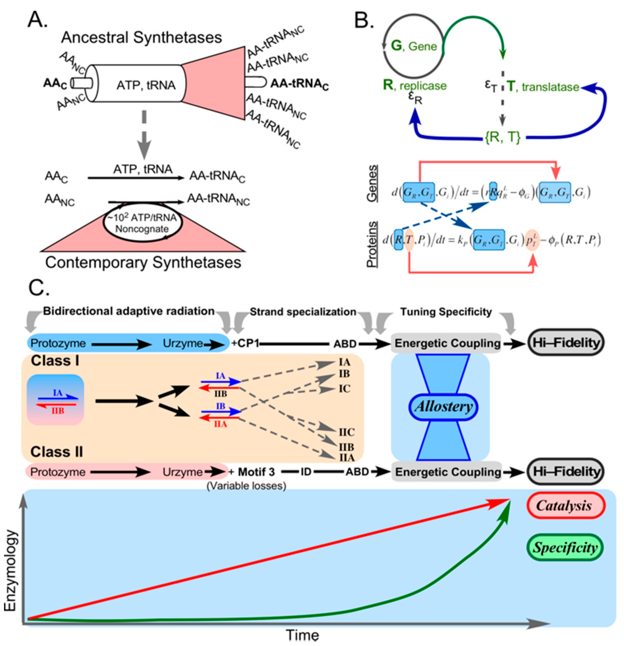 Biomolecules 11 00265 g006 Biomolecules 11 00265 g006