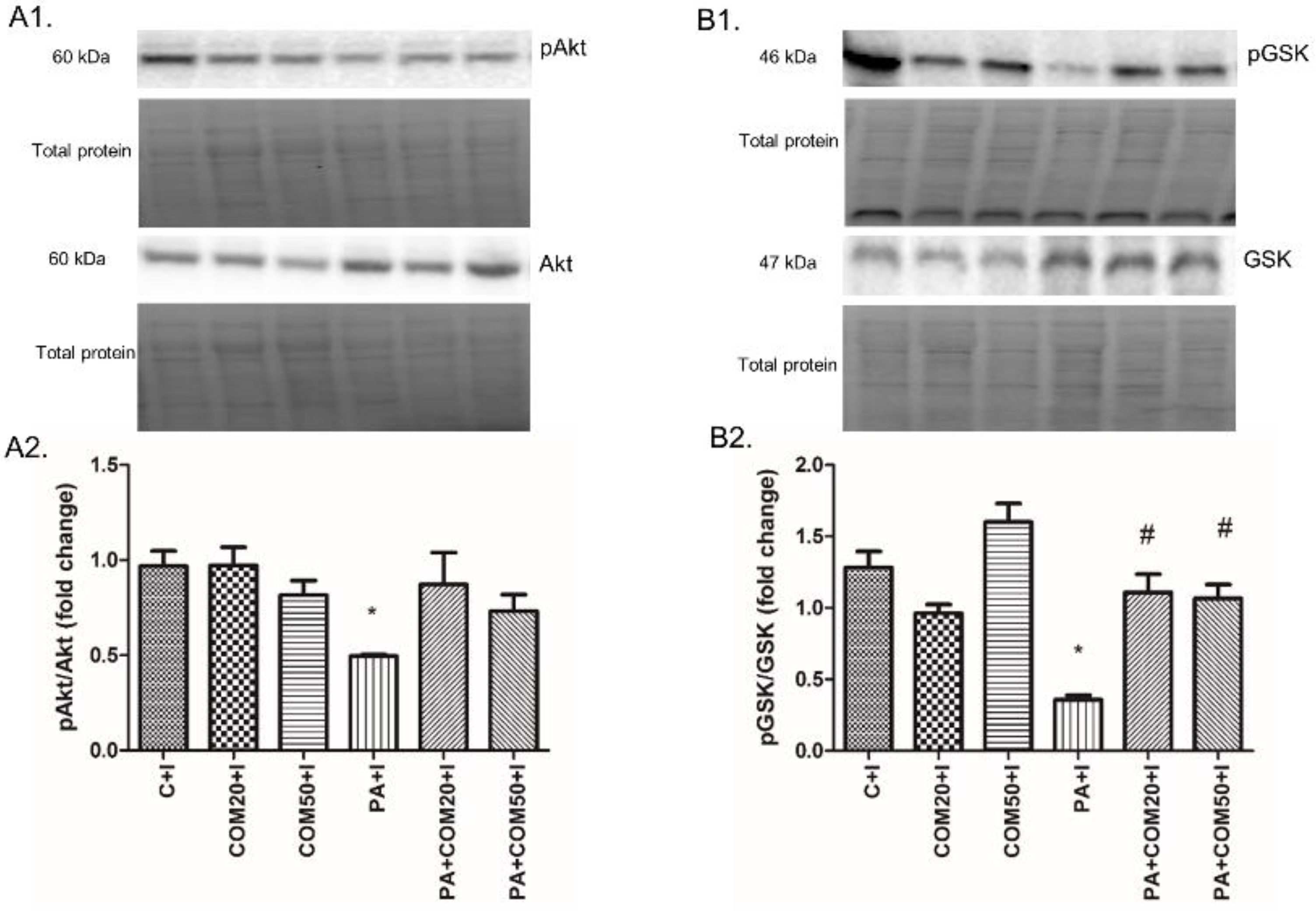 Biomolecules 11 00268 g002