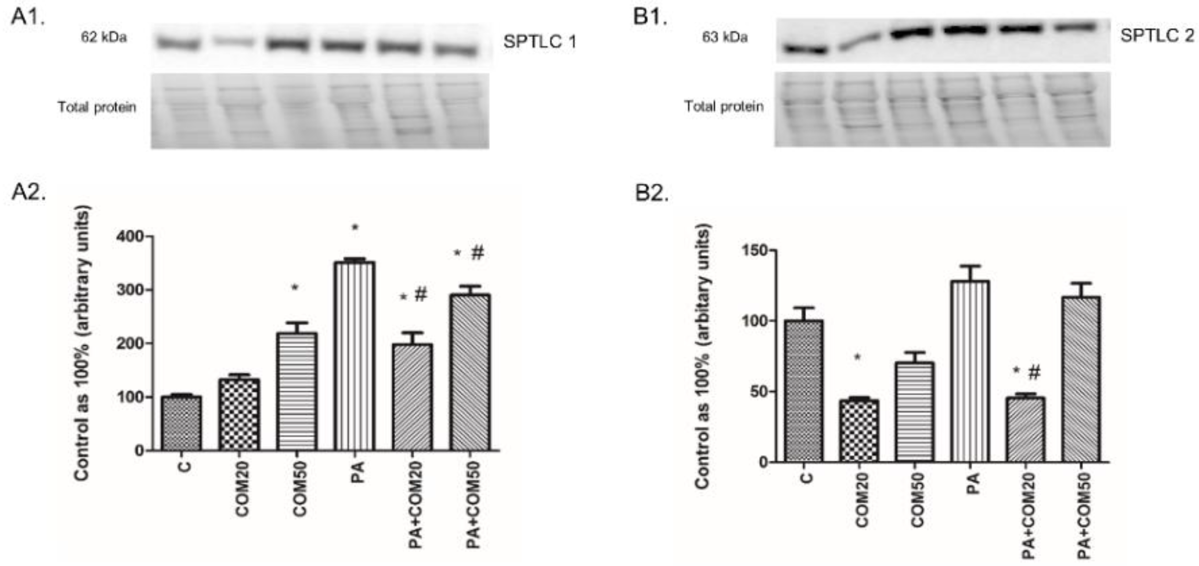 Biomolecules 11 00268 g003