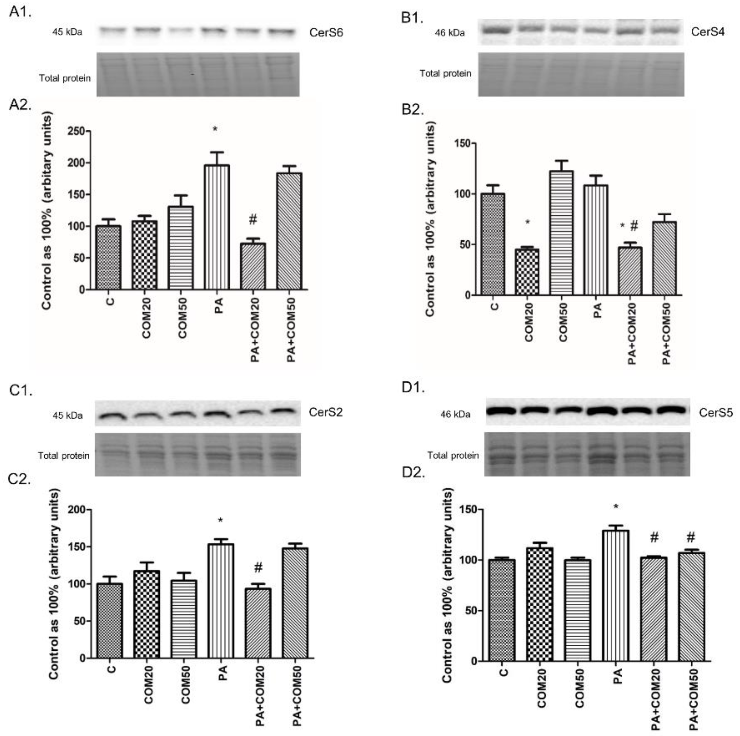 Biomolecules 11 00268 g004