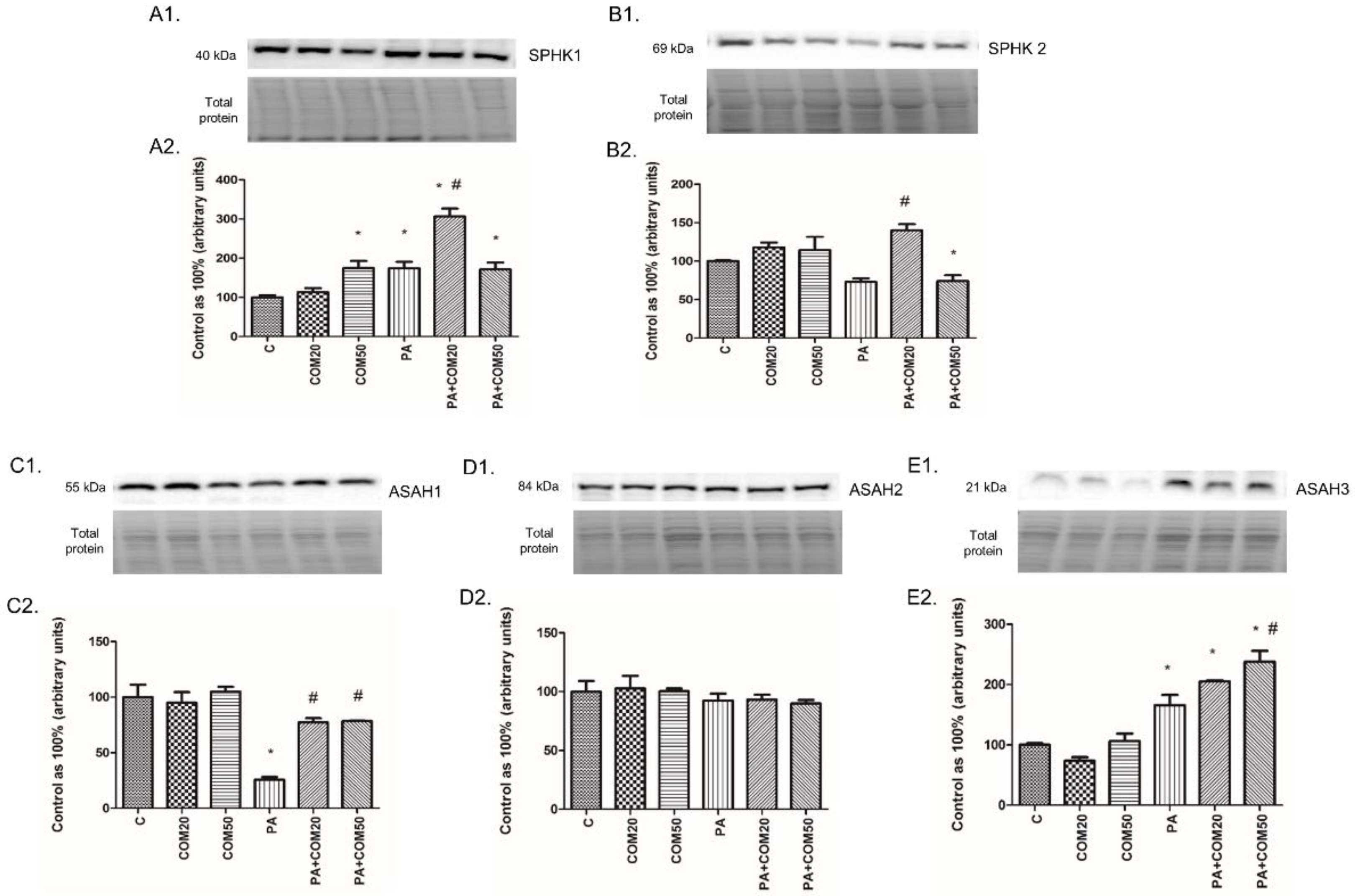 Biomolecules 11 00268 g005