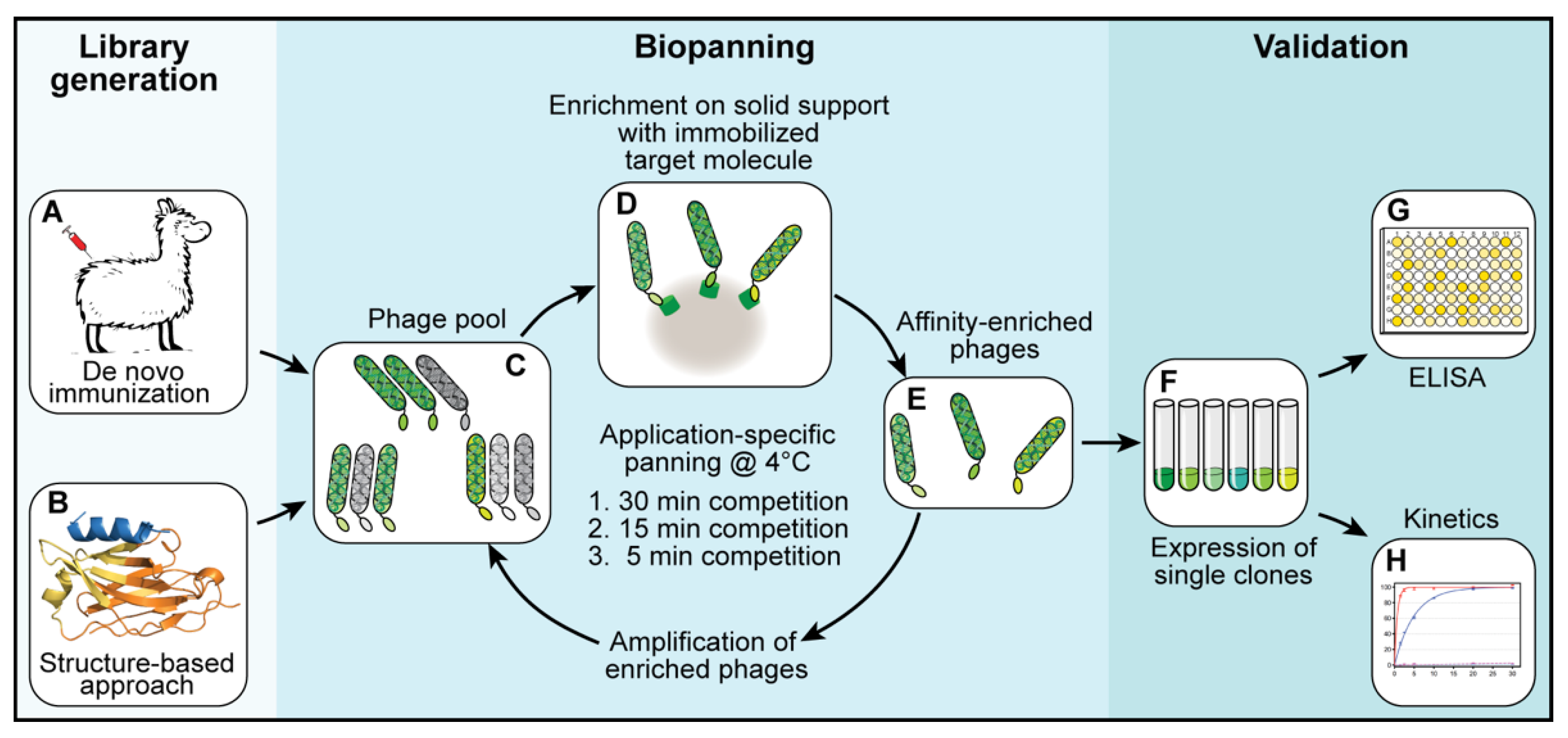 Biomolecules 11 00269 g001