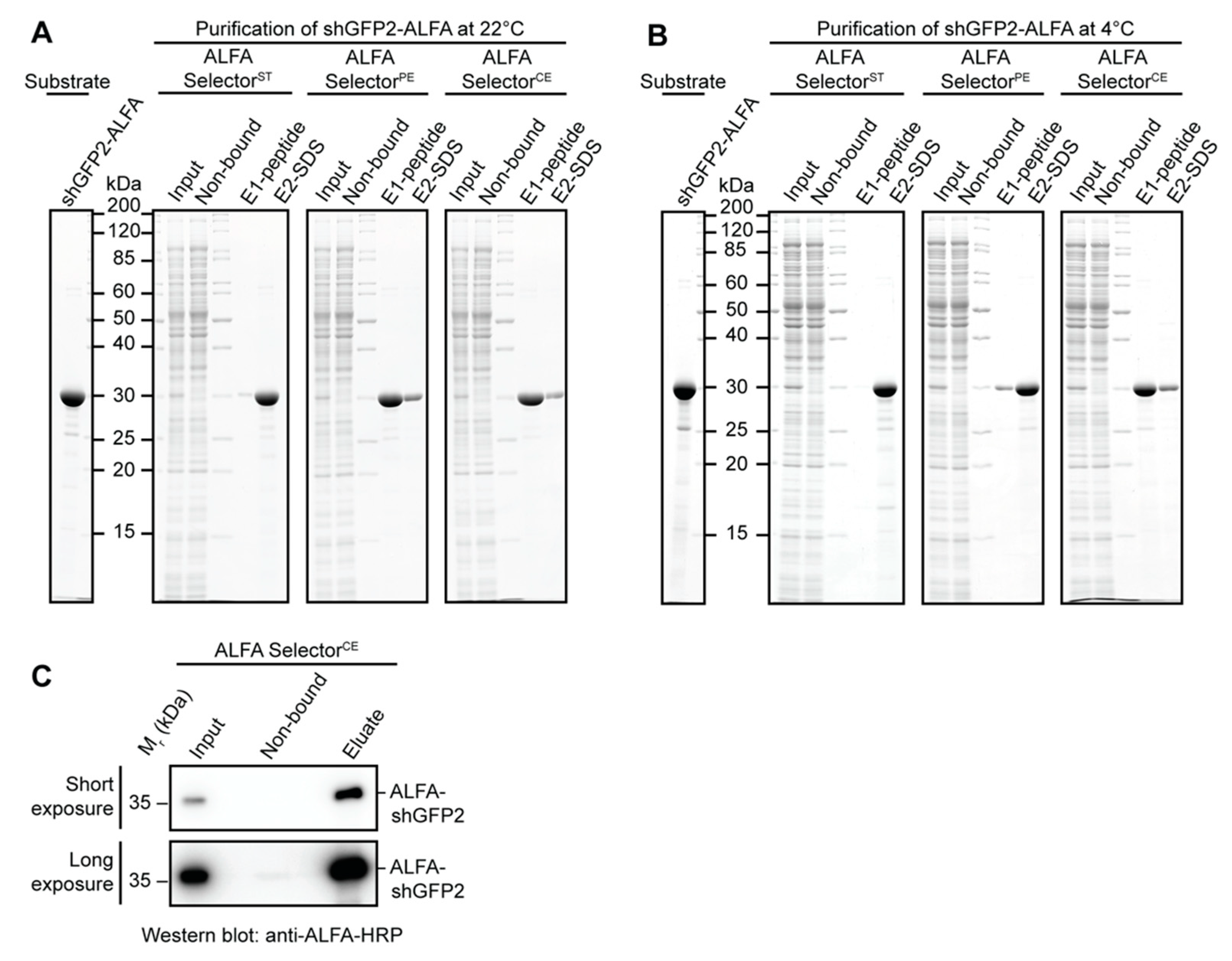 Biomolecules 11 00269 g003