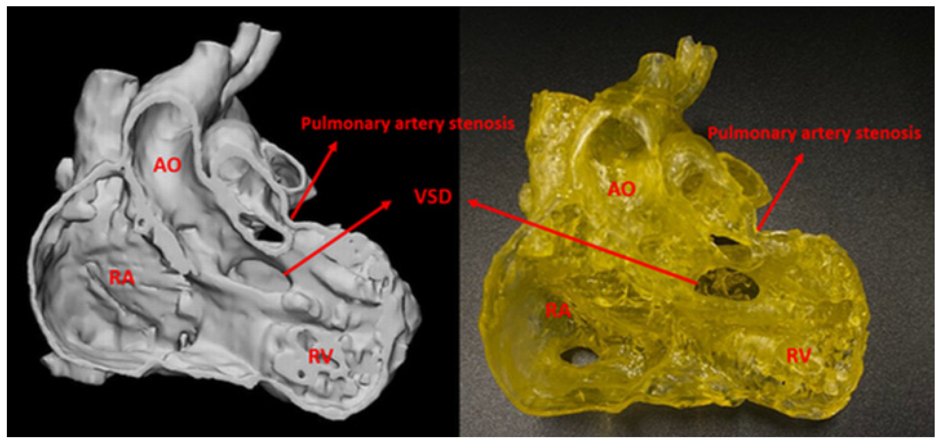 Biomolecules 11 00270 g002