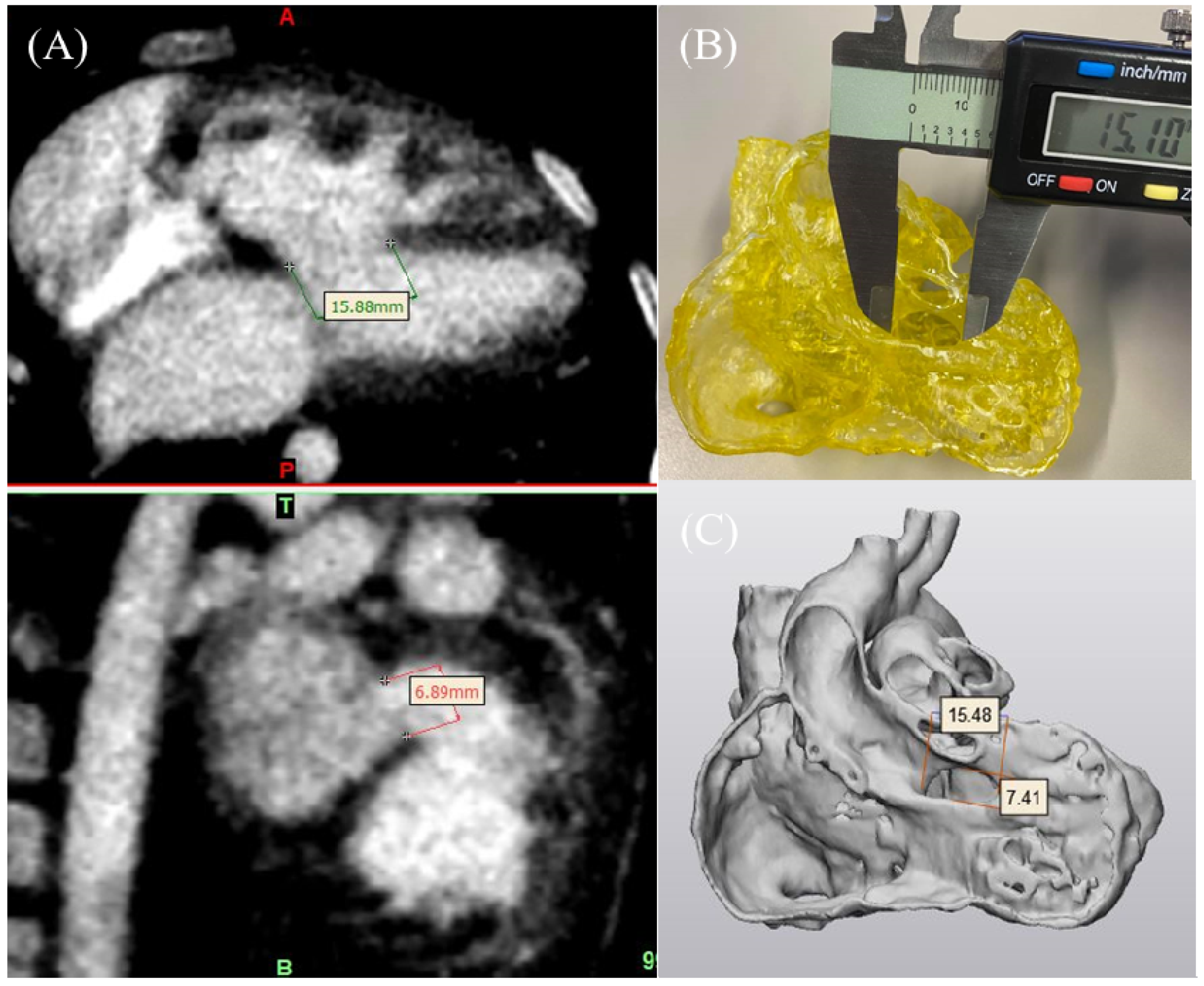Biomolecules 11 00270 g004