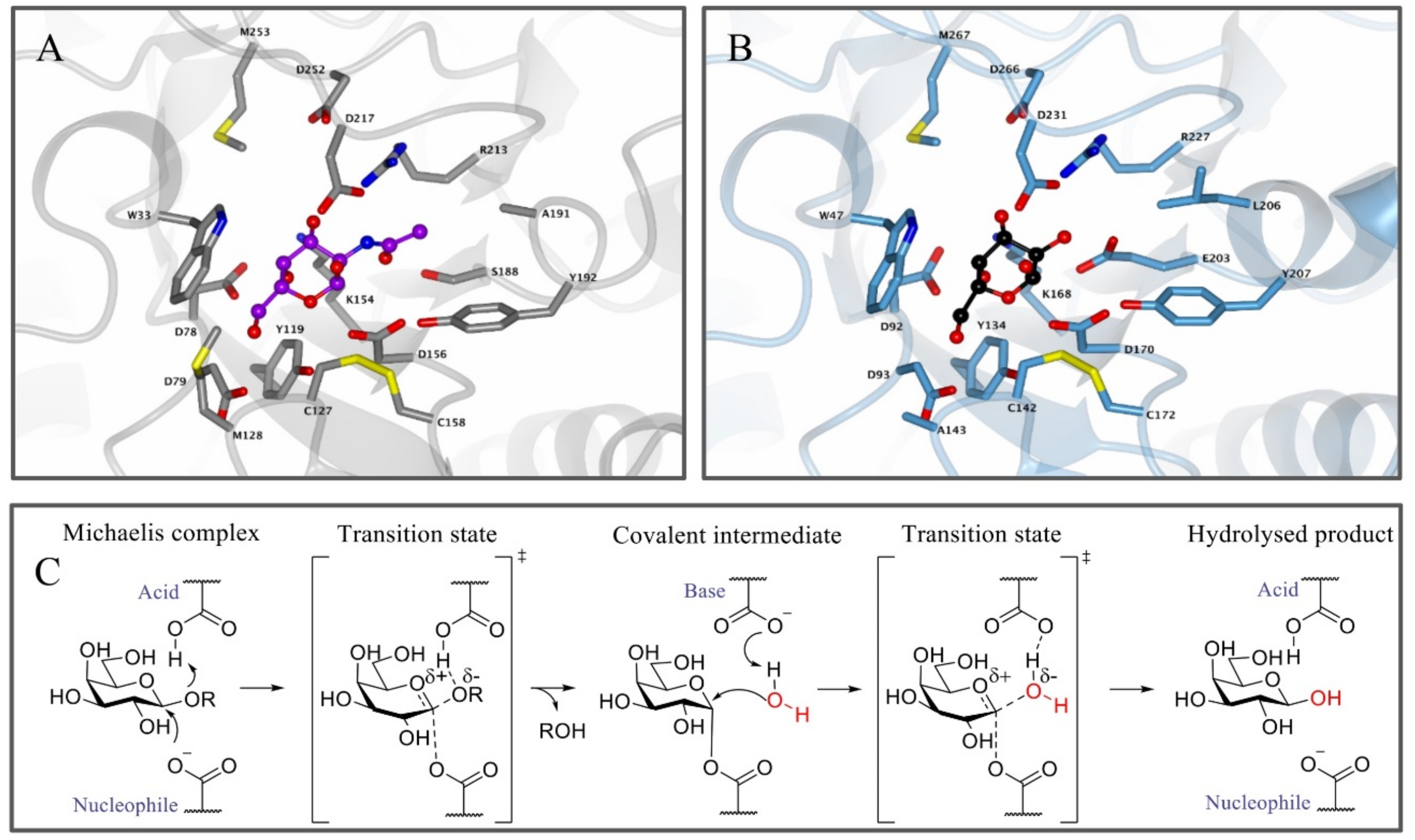 Biomolecules 11 00271 g001