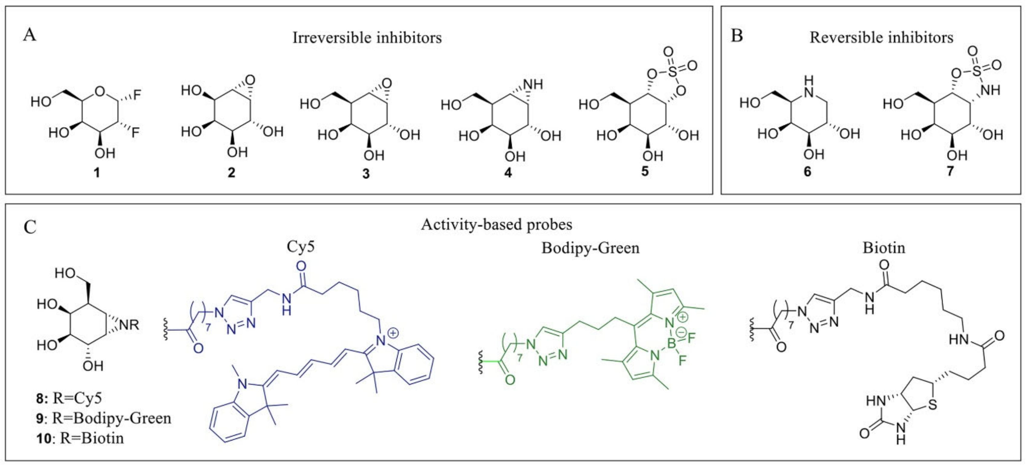 Biomolecules 11 00271 g002