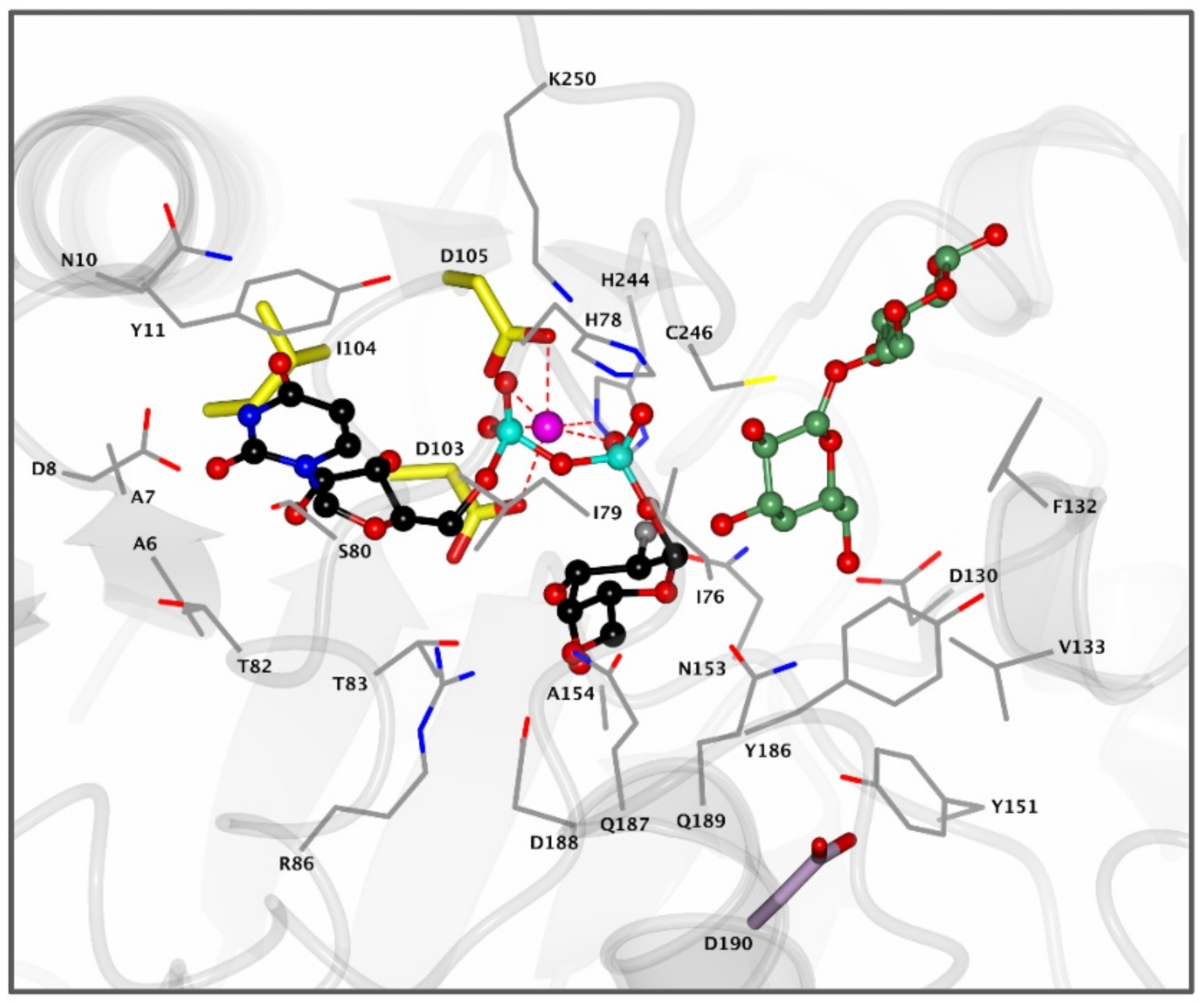 Biomolecules 11 00271 g004