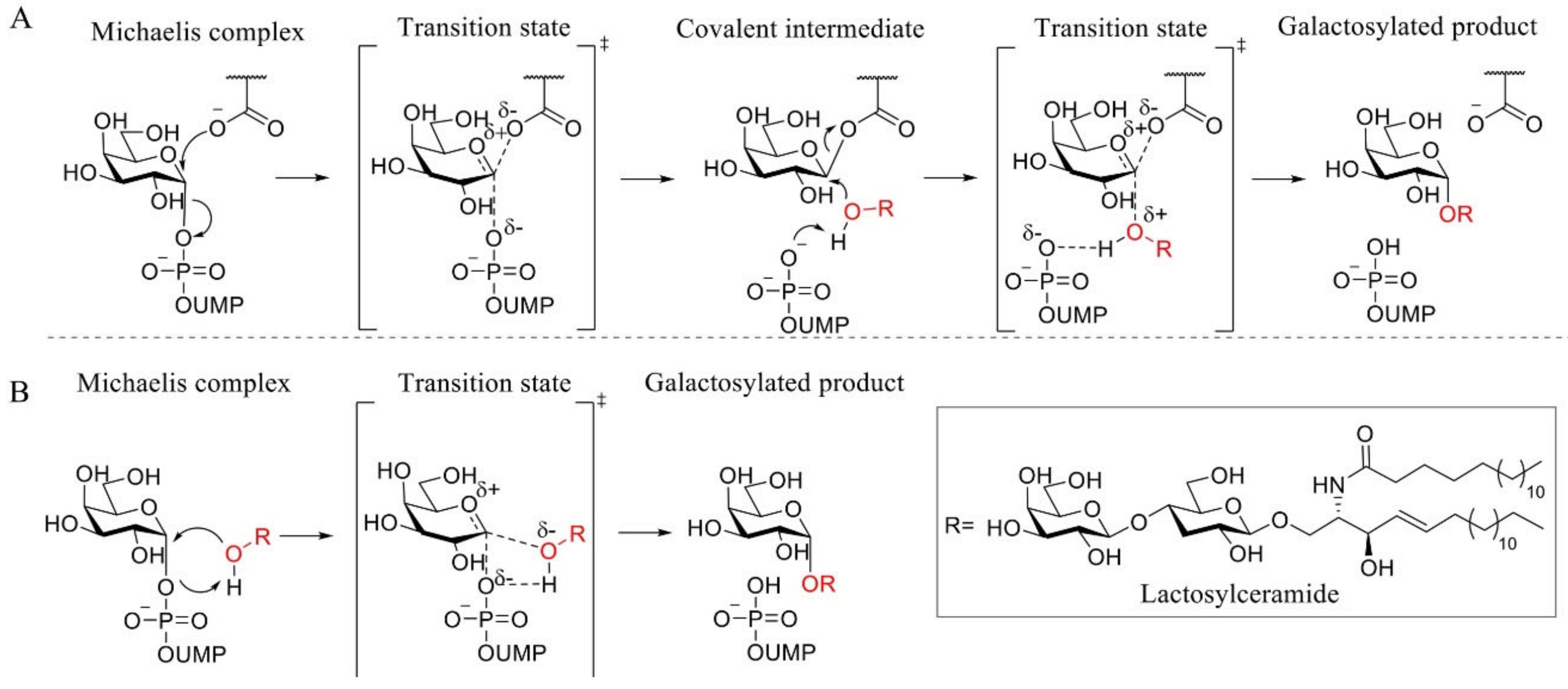 Biomolecules 11 00271 g005