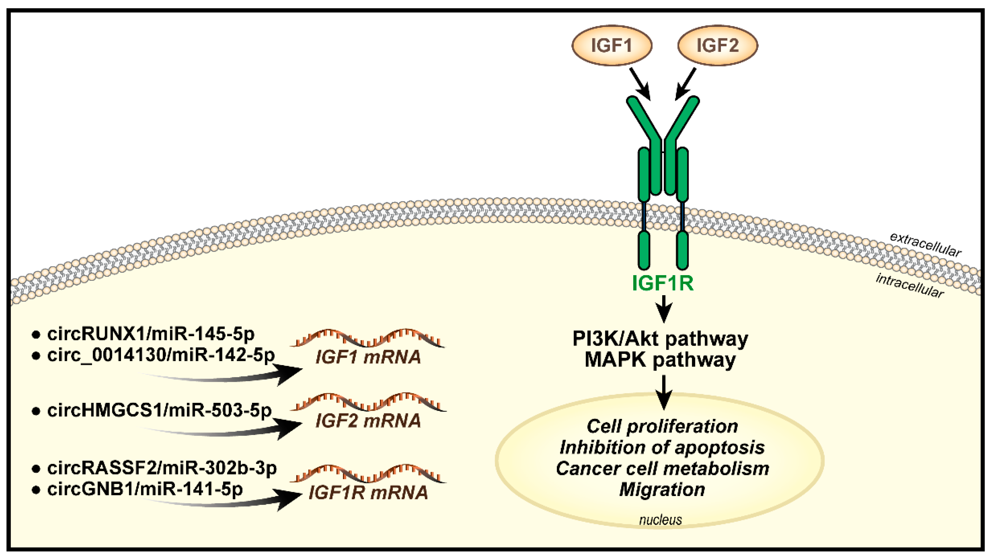 Biomolecules 11 00273 g001