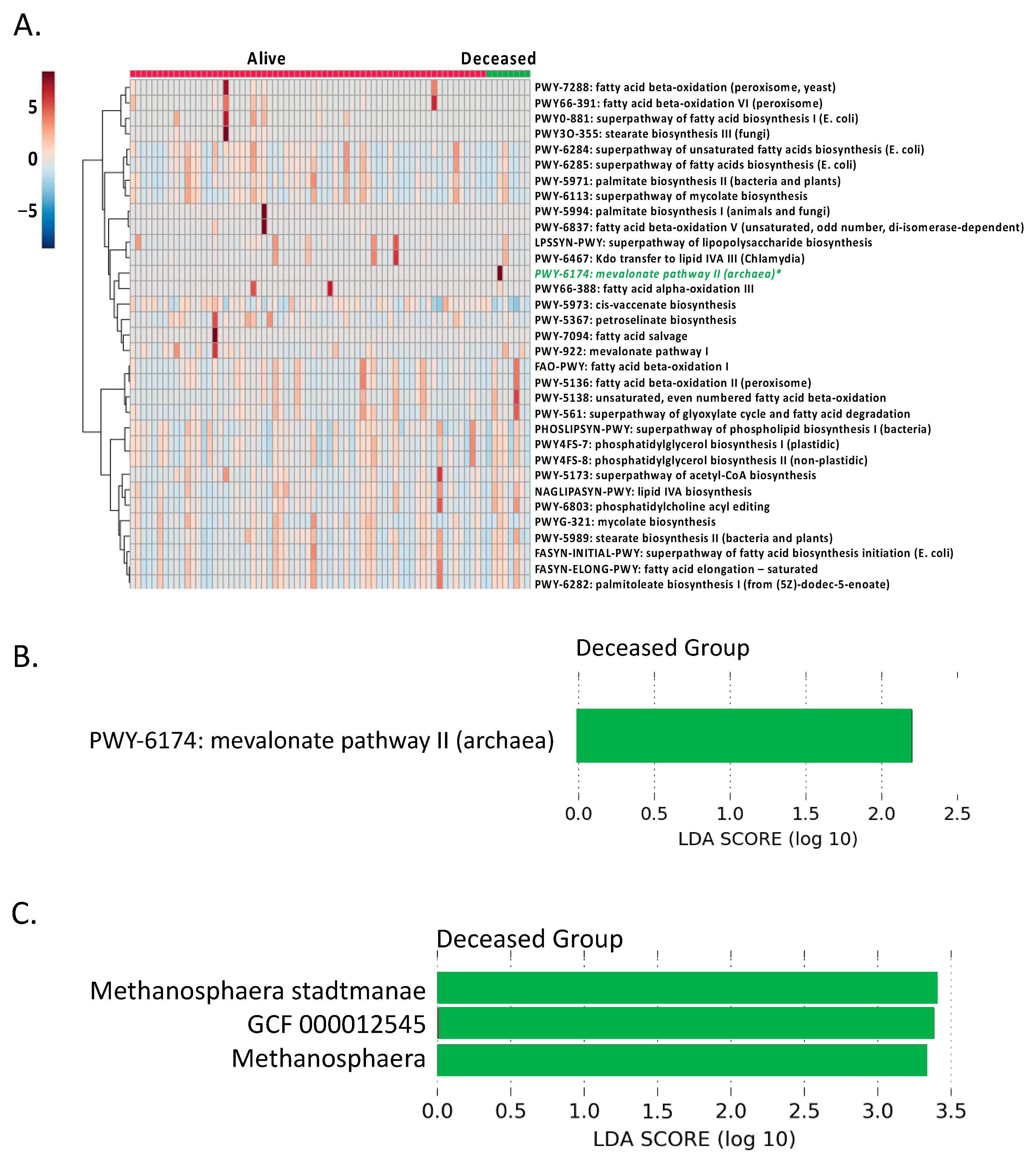 Biomolecules 11 00281 g004