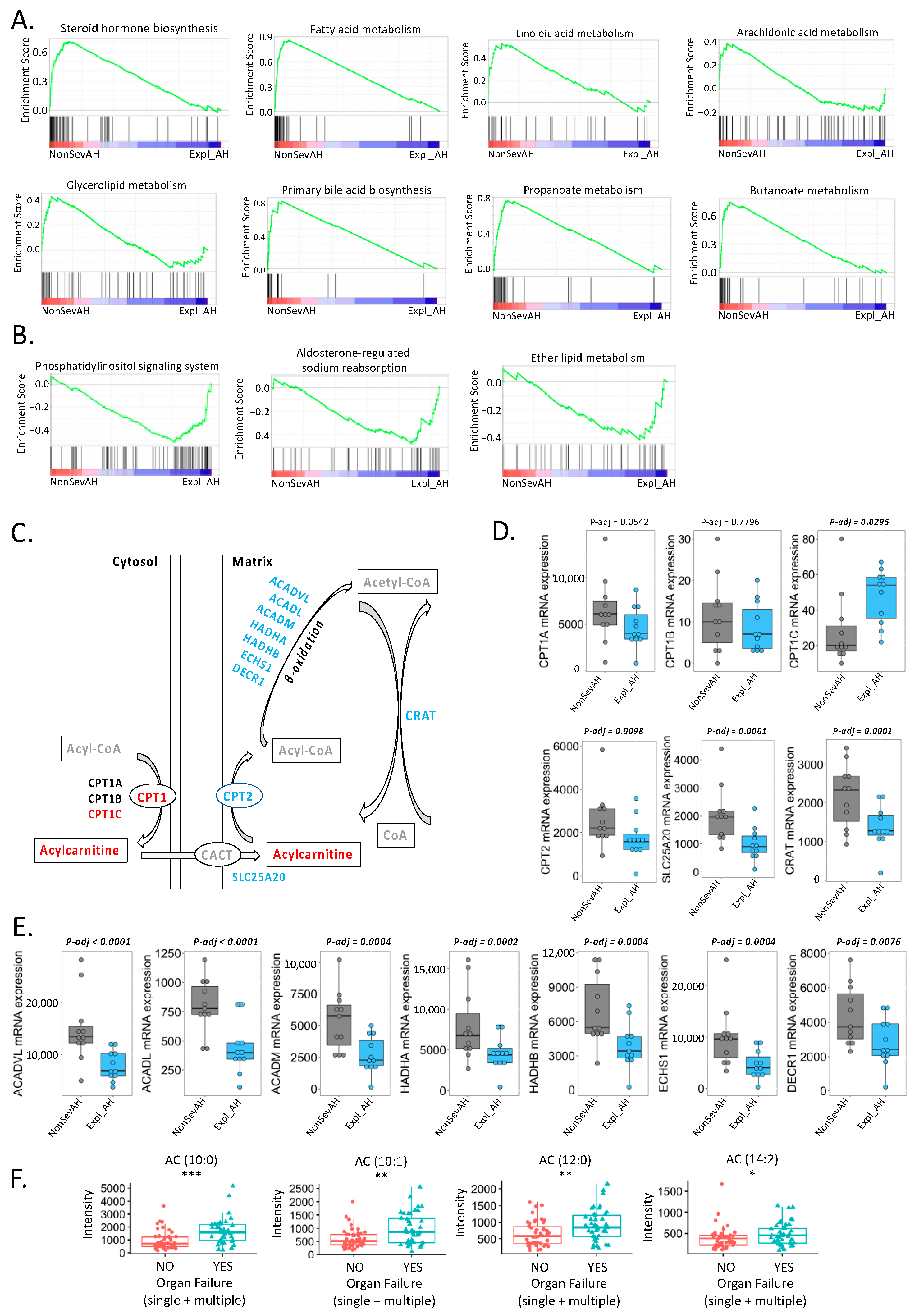 Biomolecules 11 00281 g005