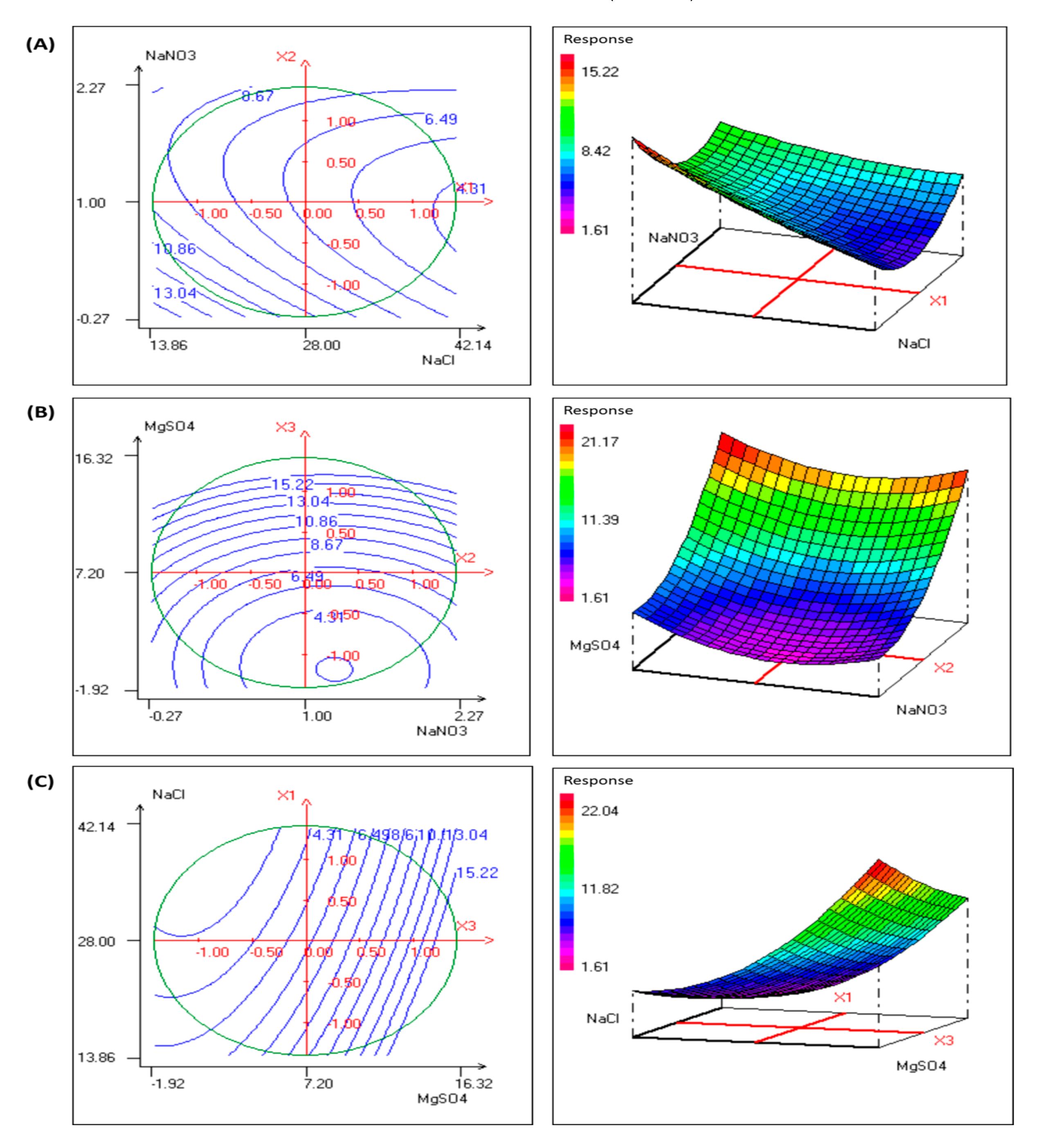 Biomolecules 11 00282 g004