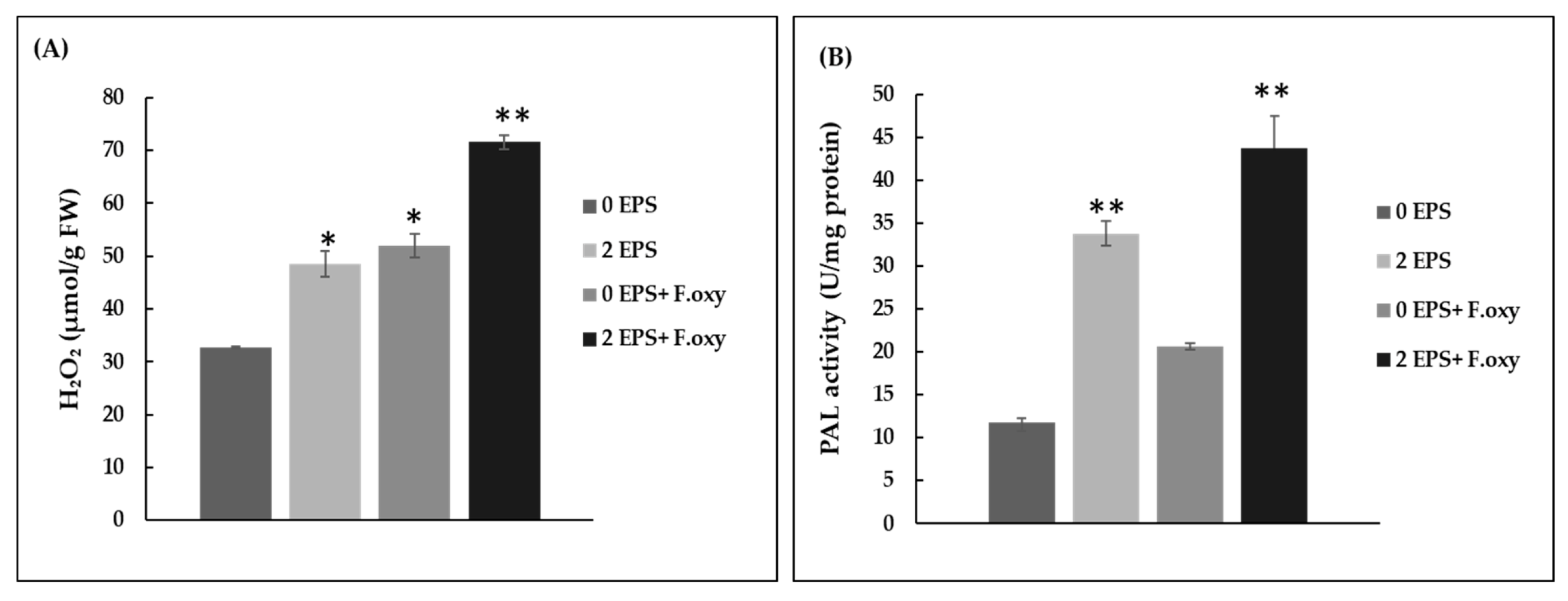 Biomolecules 11 00282 g006