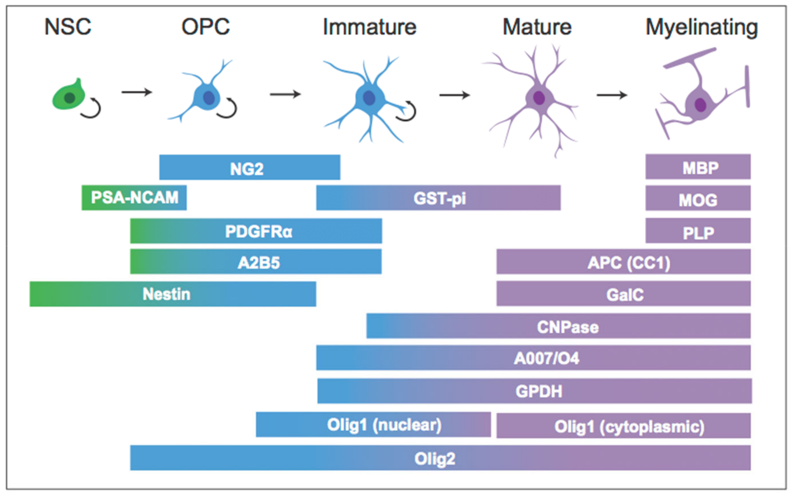 Biomolecules 11 00283 g001