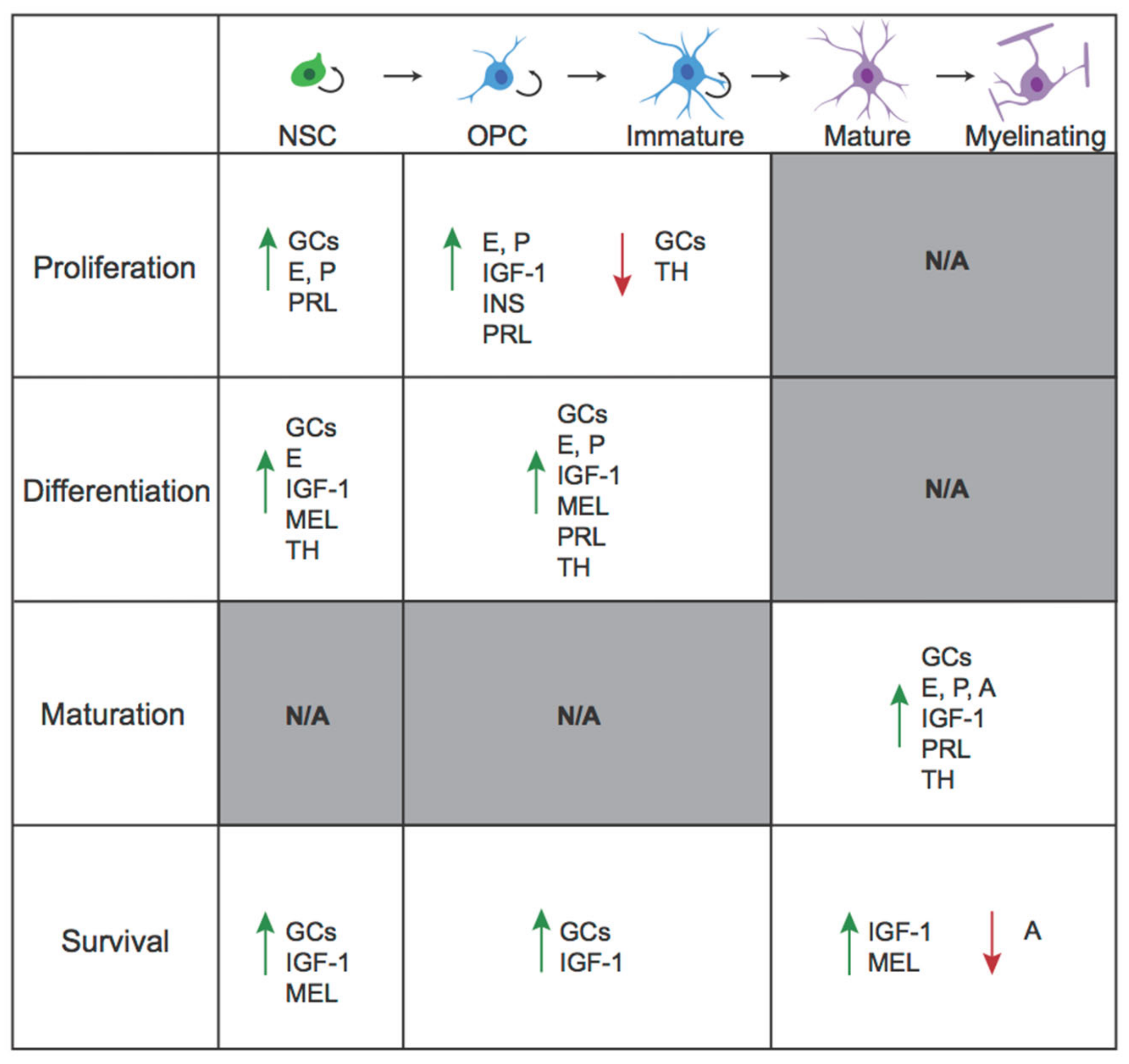 Biomolecules 11 00283 g002