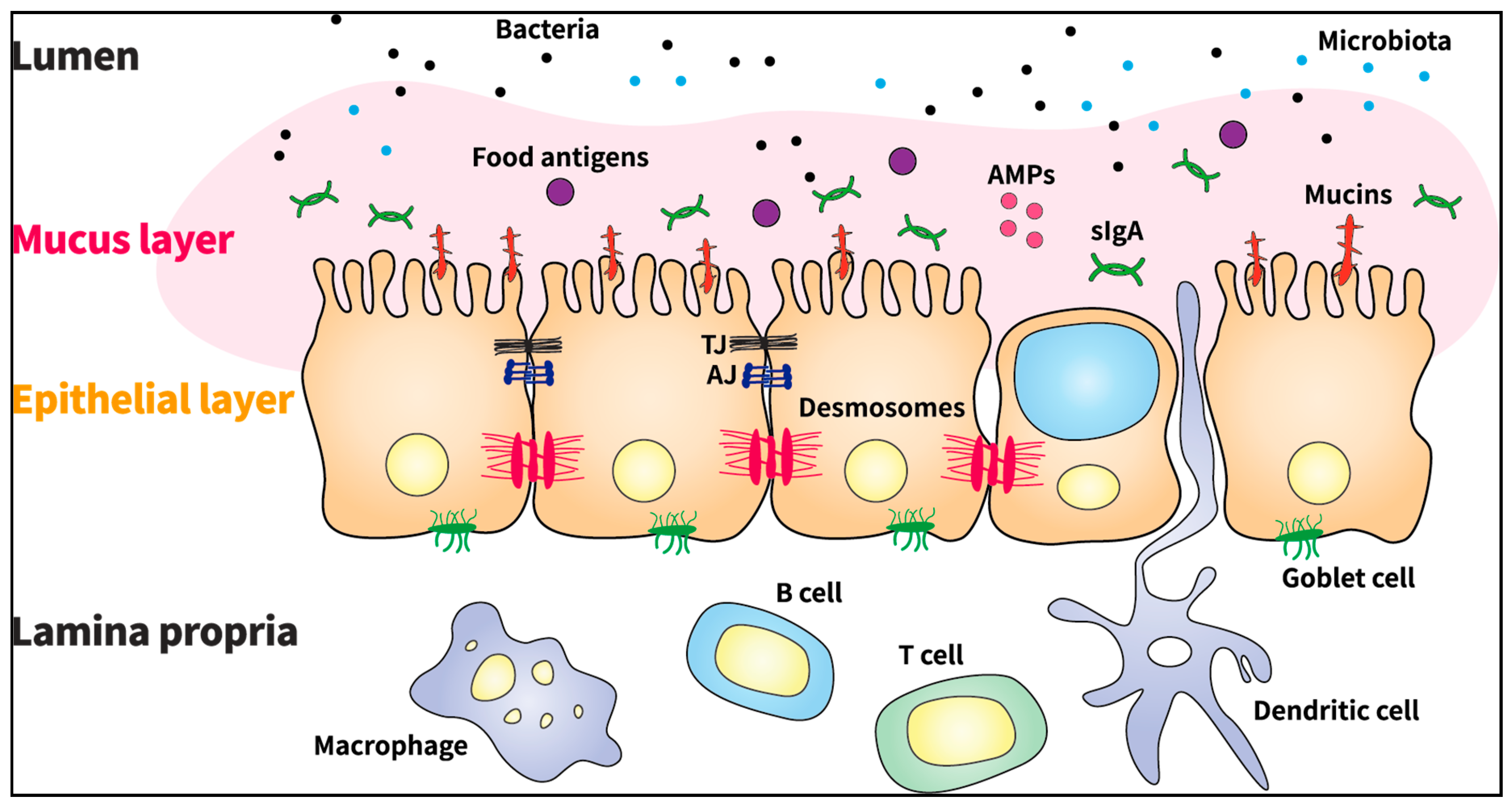 Biomolecules 11 00284 g001 Biomolecules 11 00284 g001