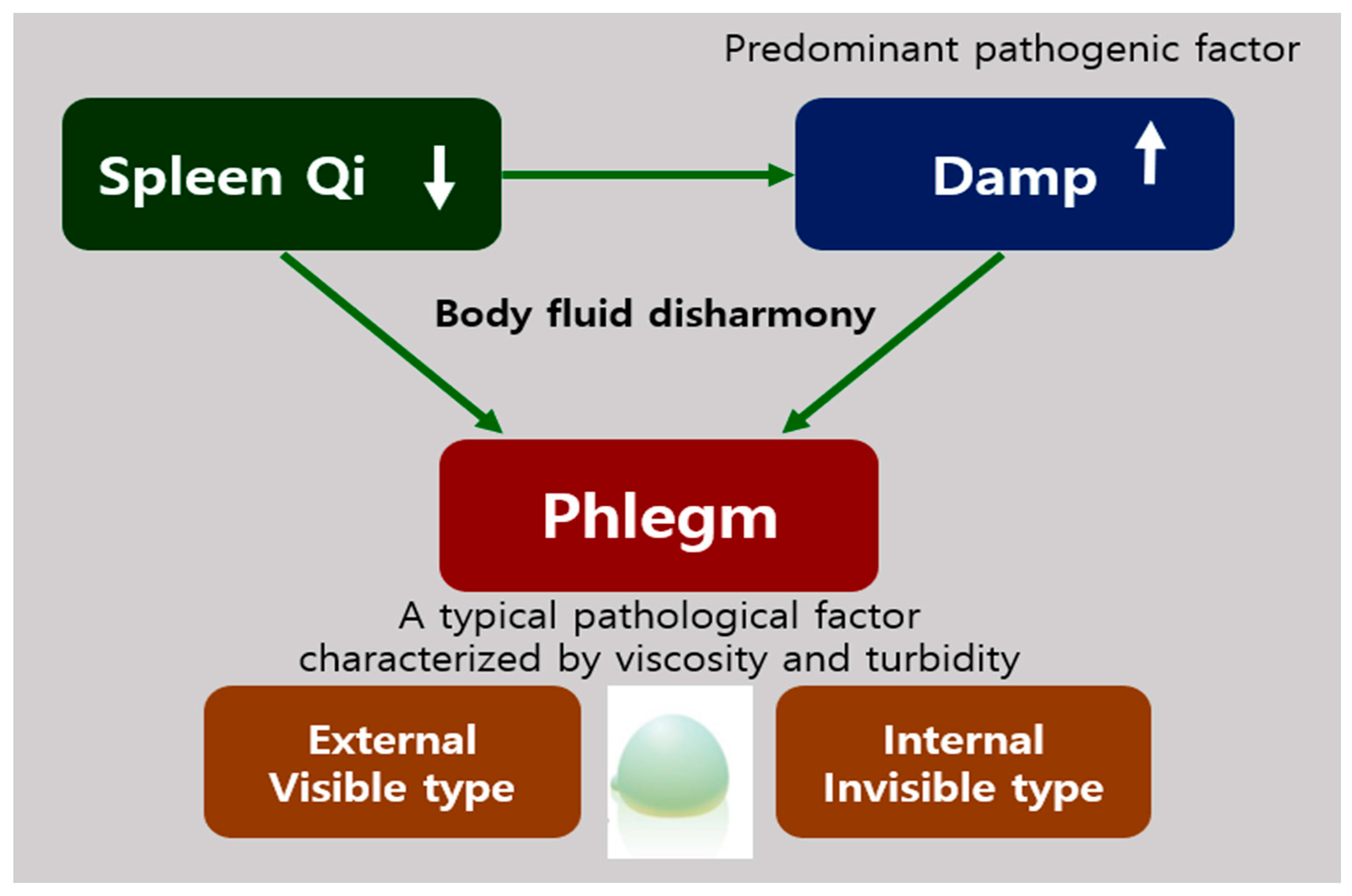 Biomolecules 11 00284 g002 Biomolecules 11 00284 g002