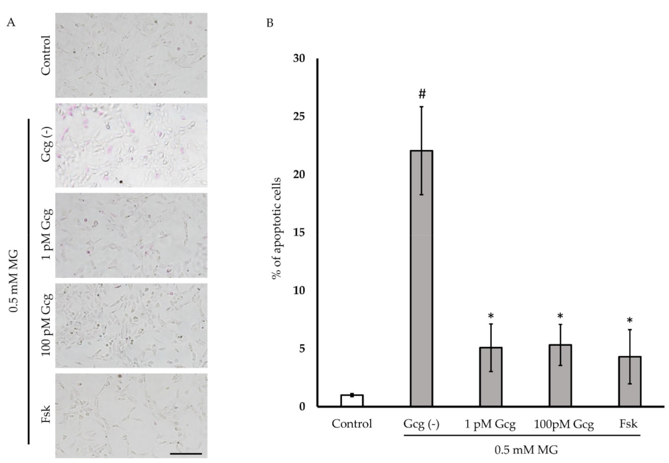 Biomolecules 11 00287 g003