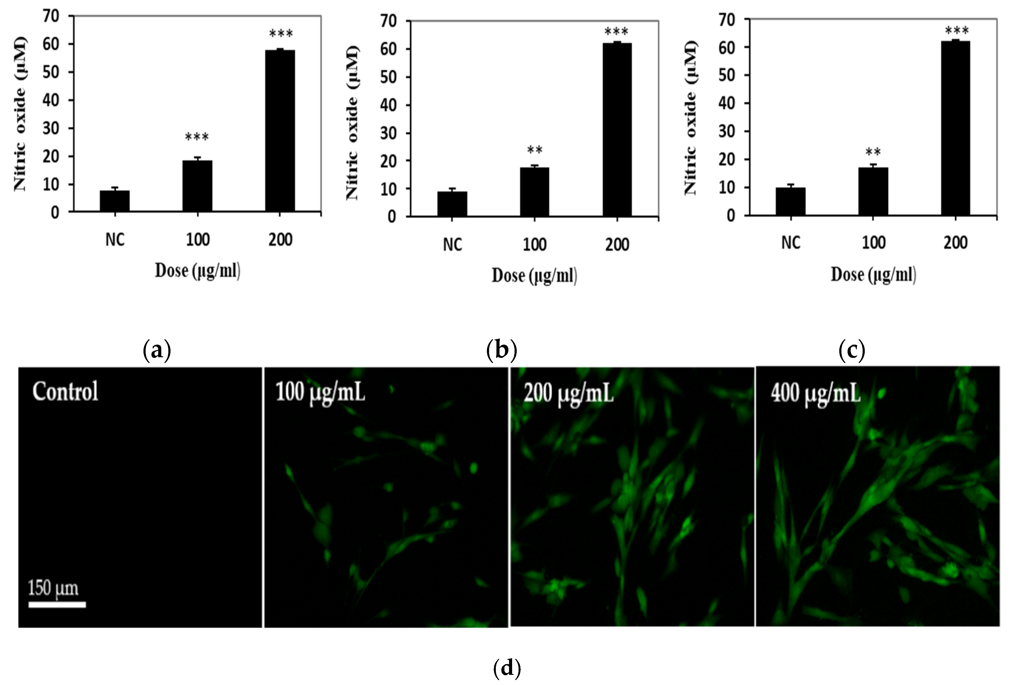 Biomolecules 11 00291 g003 Biomolecules 11 00291 g003