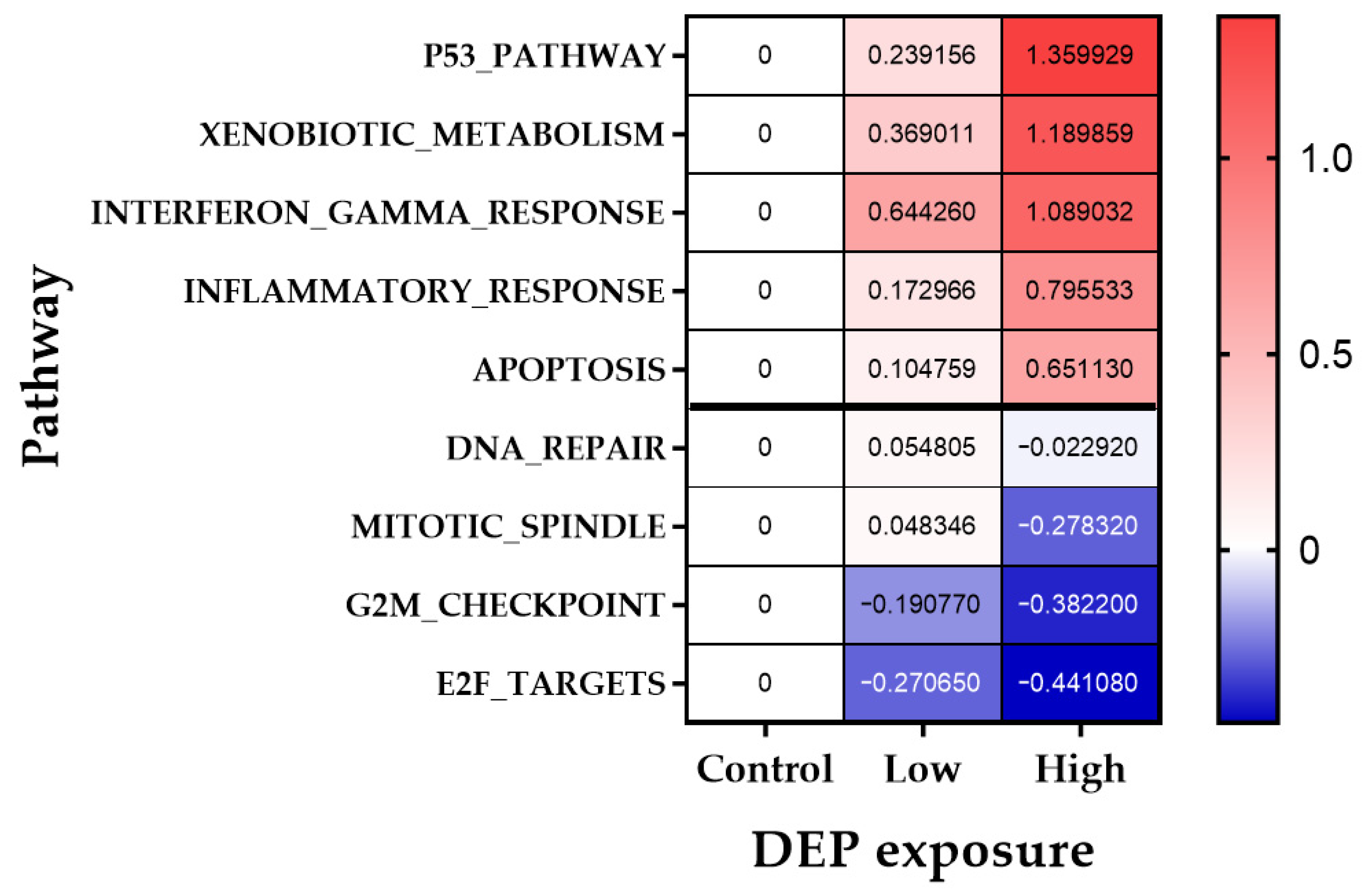 Biomolecules 11 00291 g006 Biomolecules 11 00291 g006