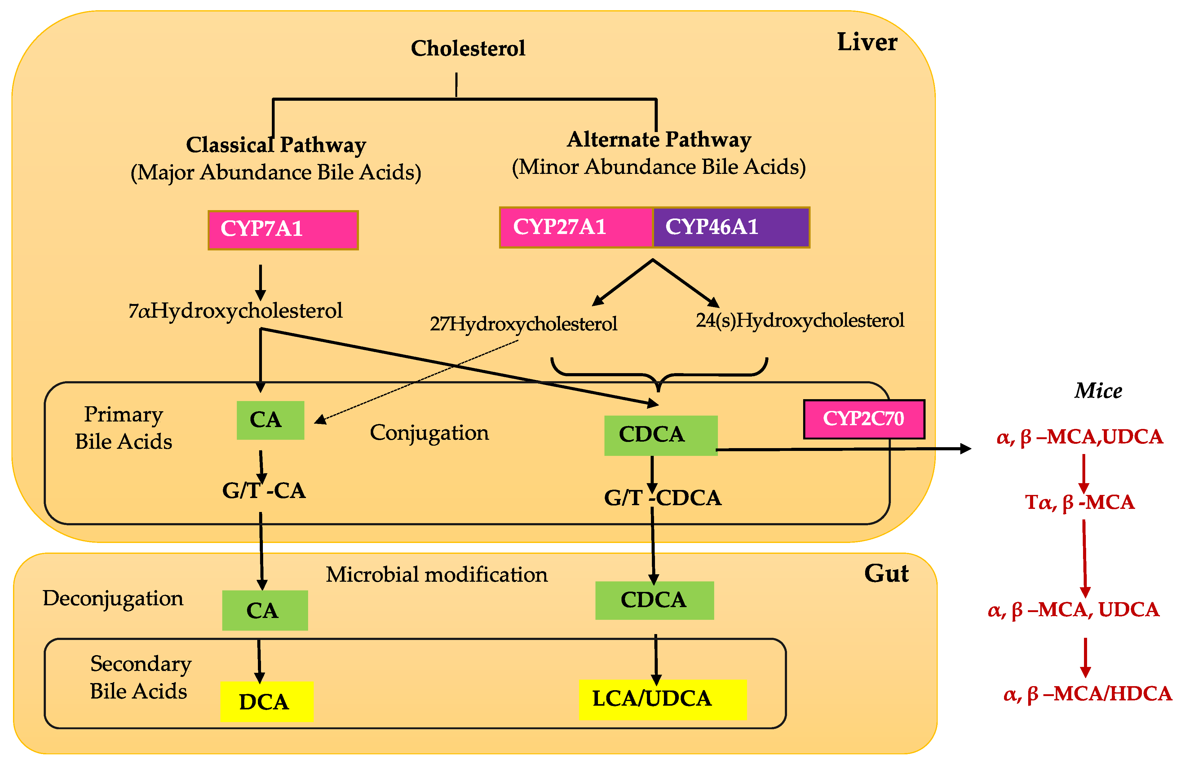 Biomolecules 11 00292 g001 Biomolecules 11 00292 g001