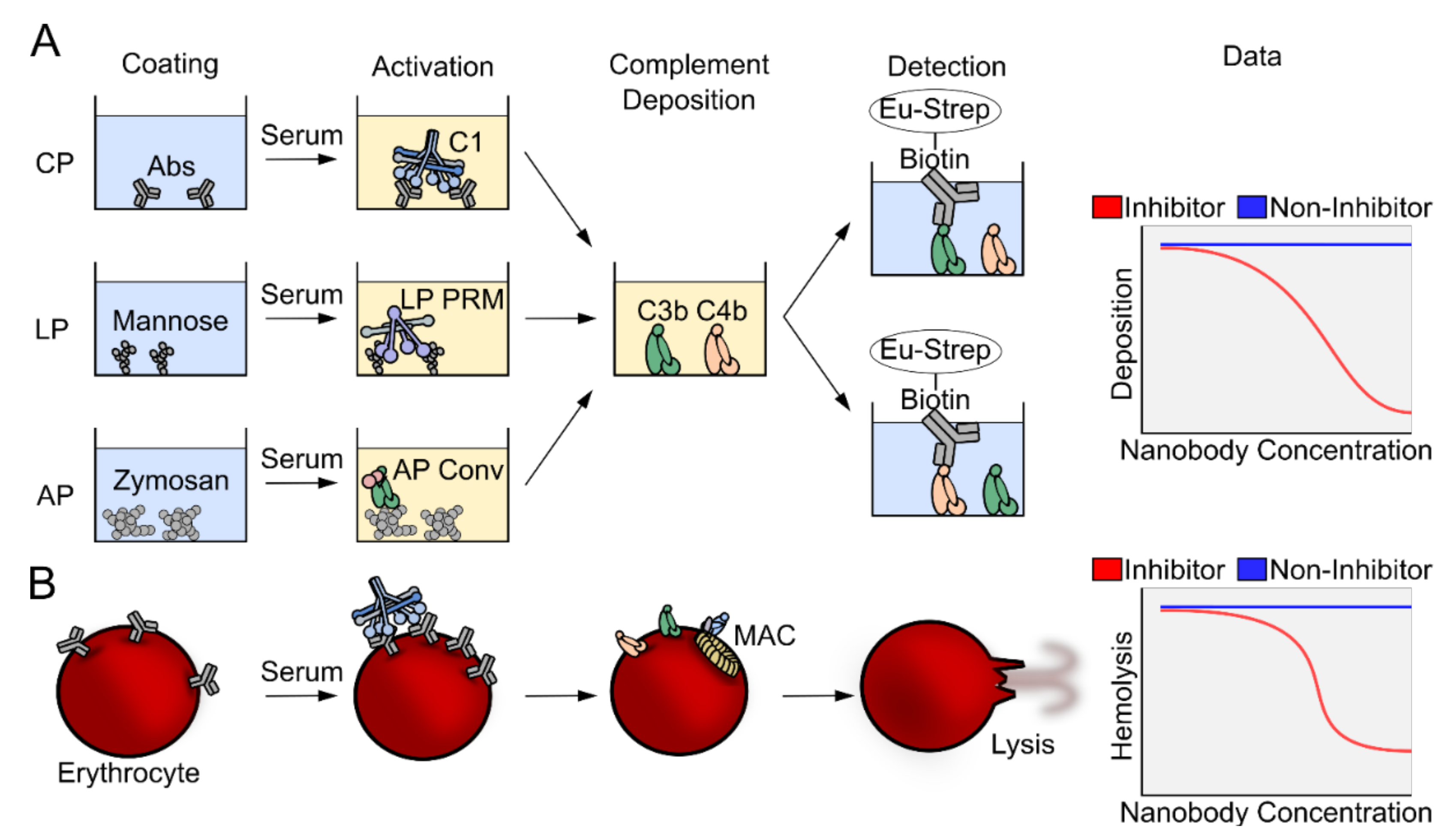 Biomolecules 11 00298 g002 Biomolecules 11 00298 g002