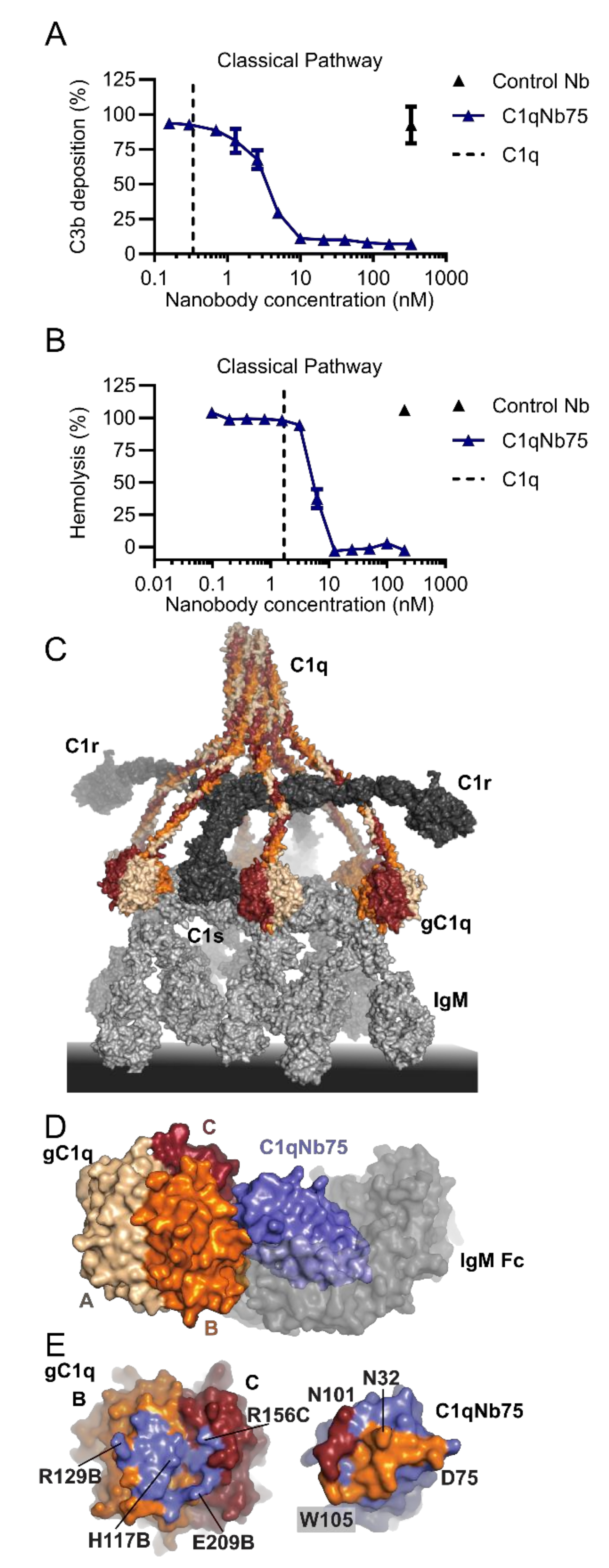 Biomolecules 11 00298 g003 Biomolecules 11 00298 g003