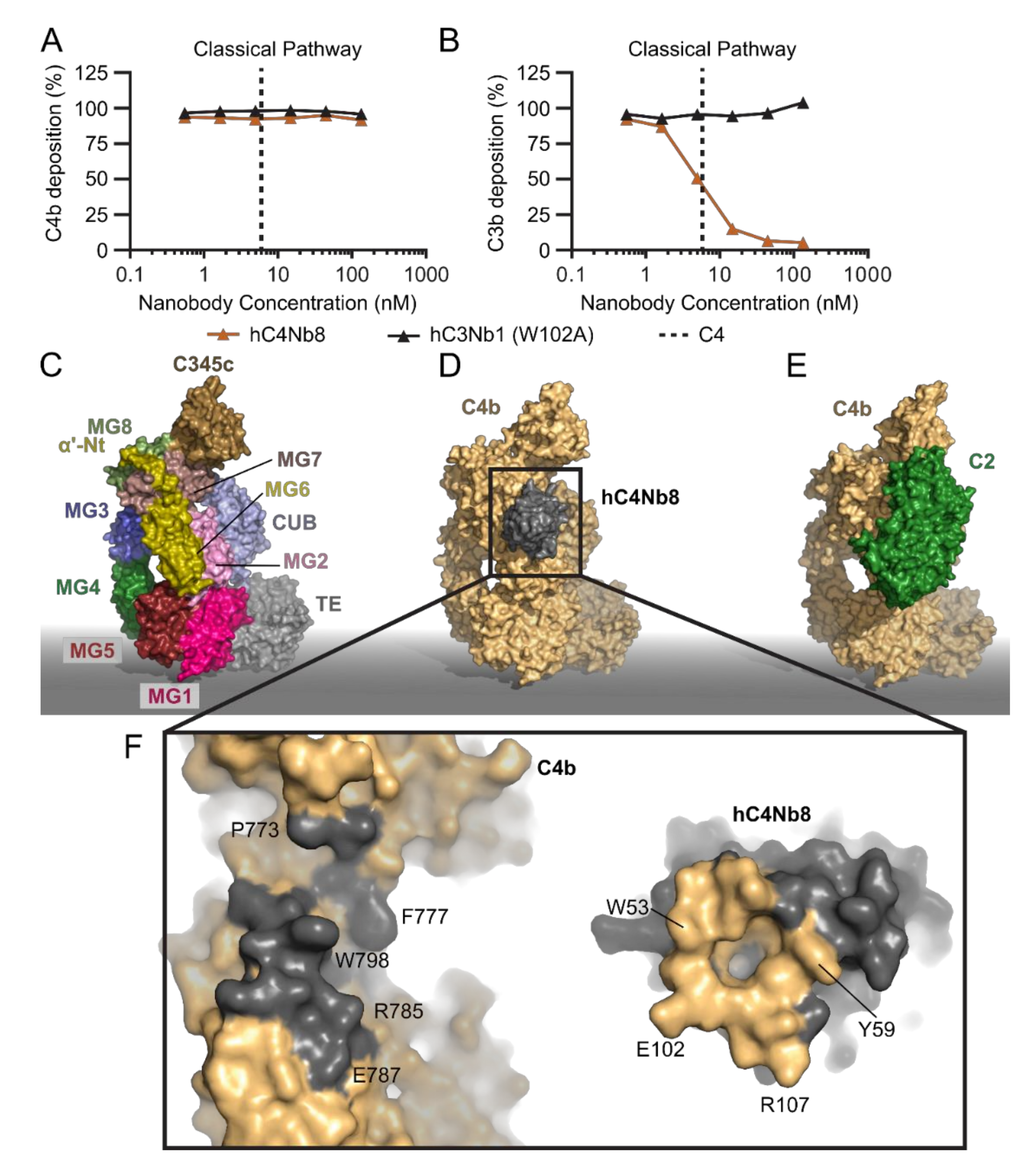 Biomolecules 11 00298 g004 Biomolecules 11 00298 g004