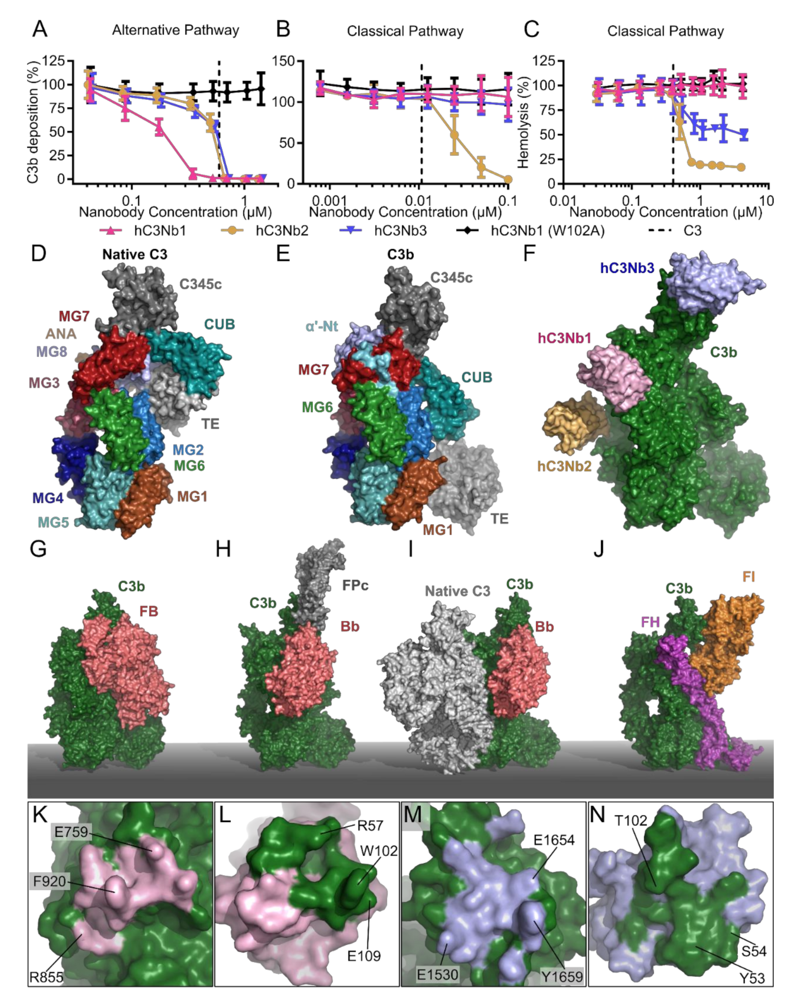 Biomolecules 11 00298 g005 Biomolecules 11 00298 g005