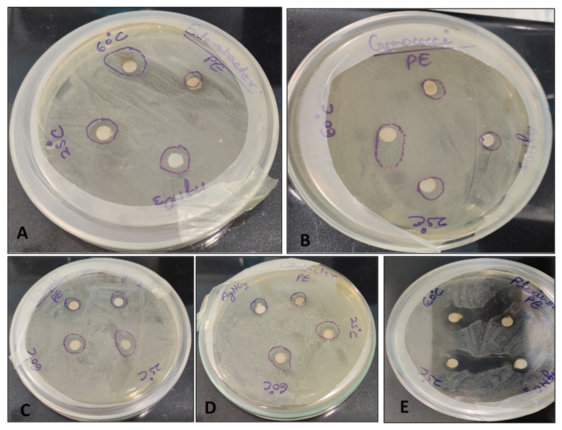 Biomolecules 11 00299 g004