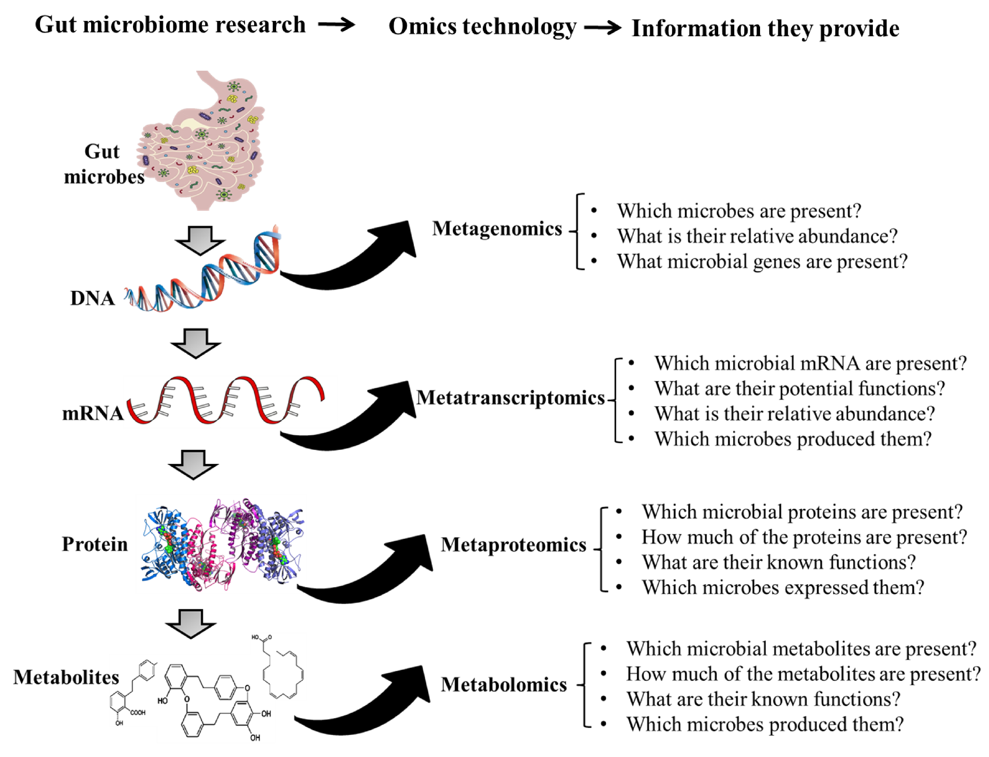 Biomolecules 11 00300 g001