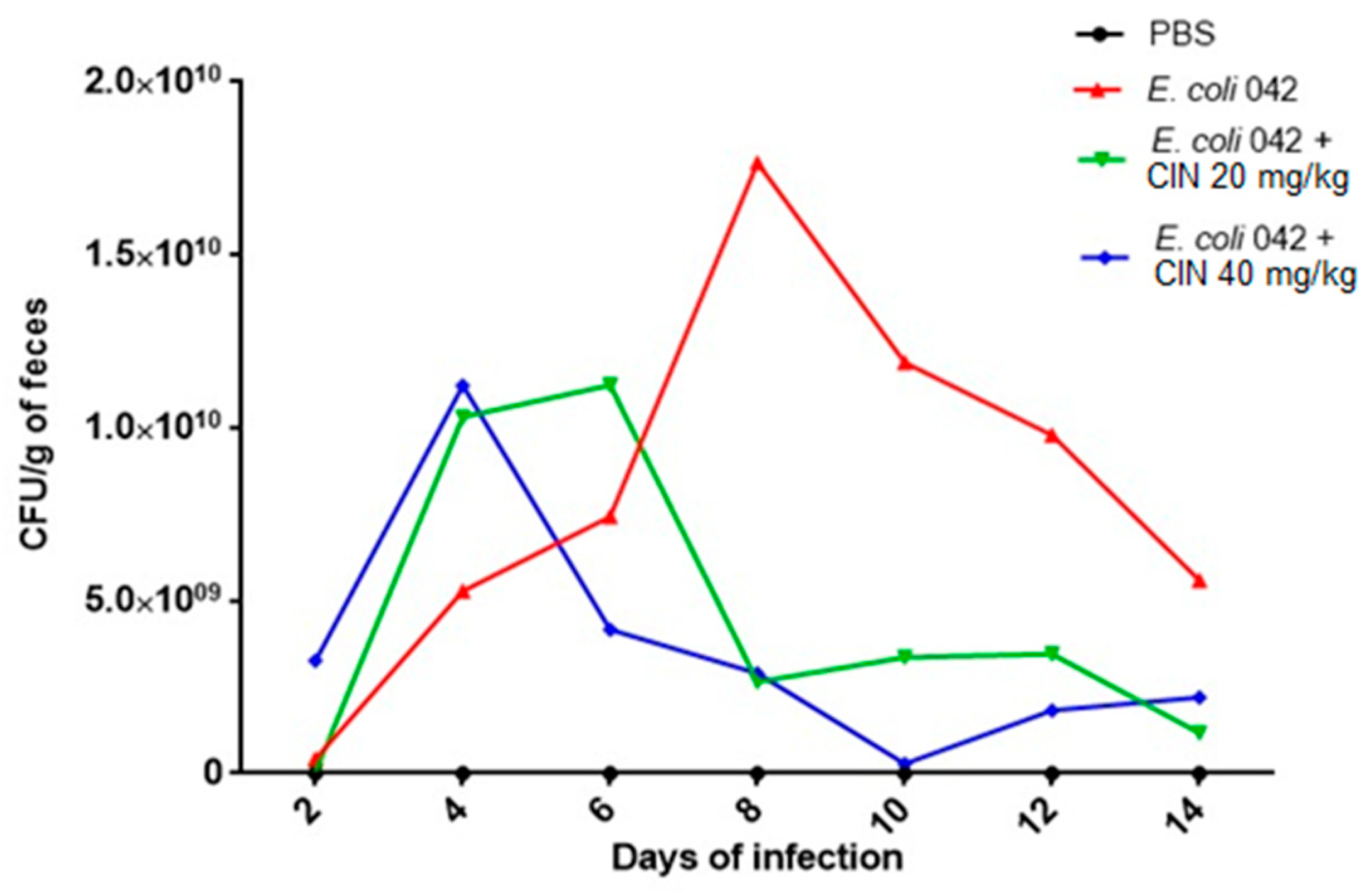 Biomolecules 11 00302 g006 Biomolecules 11 00302 g006