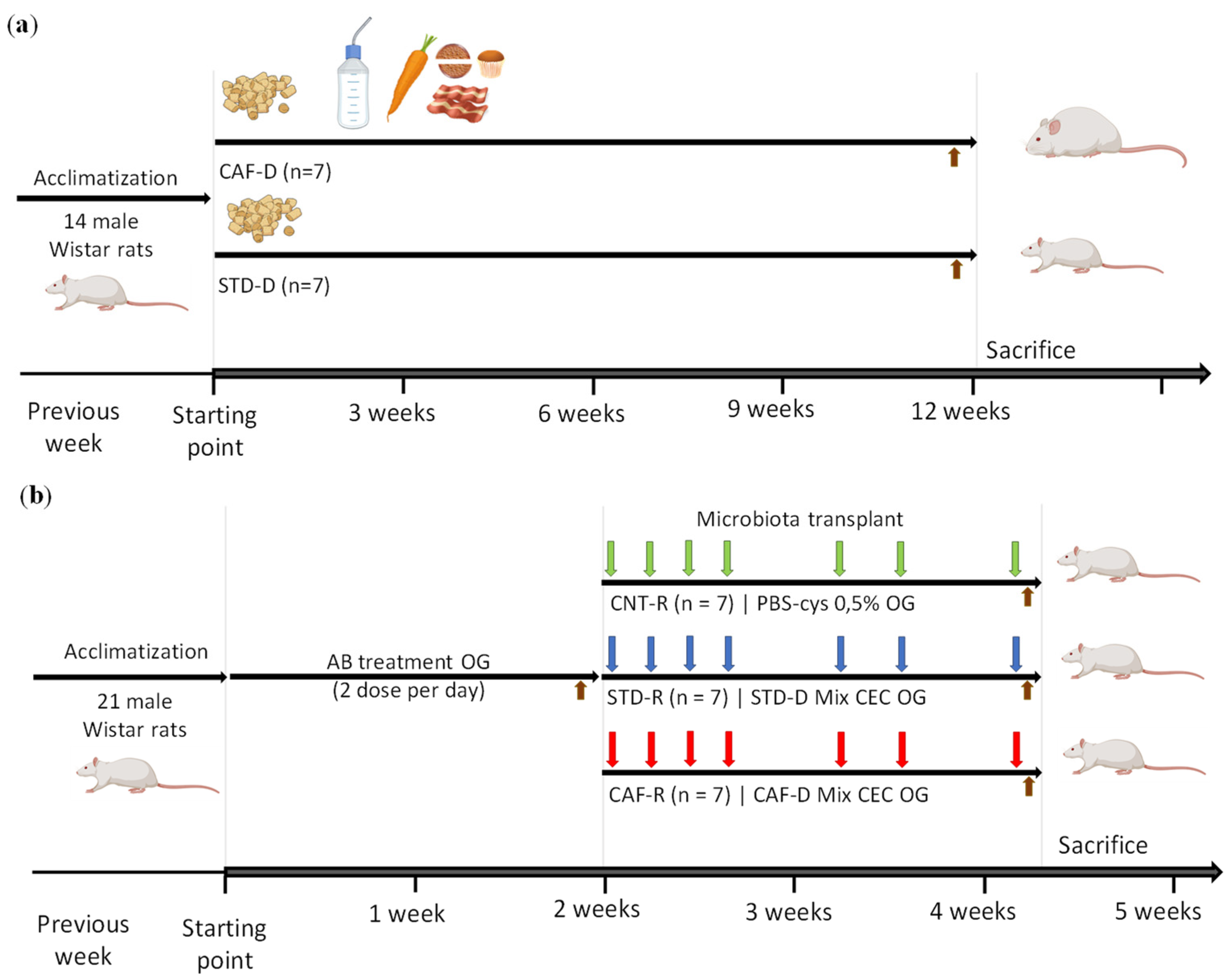 Biomolecules 11 00303 g001