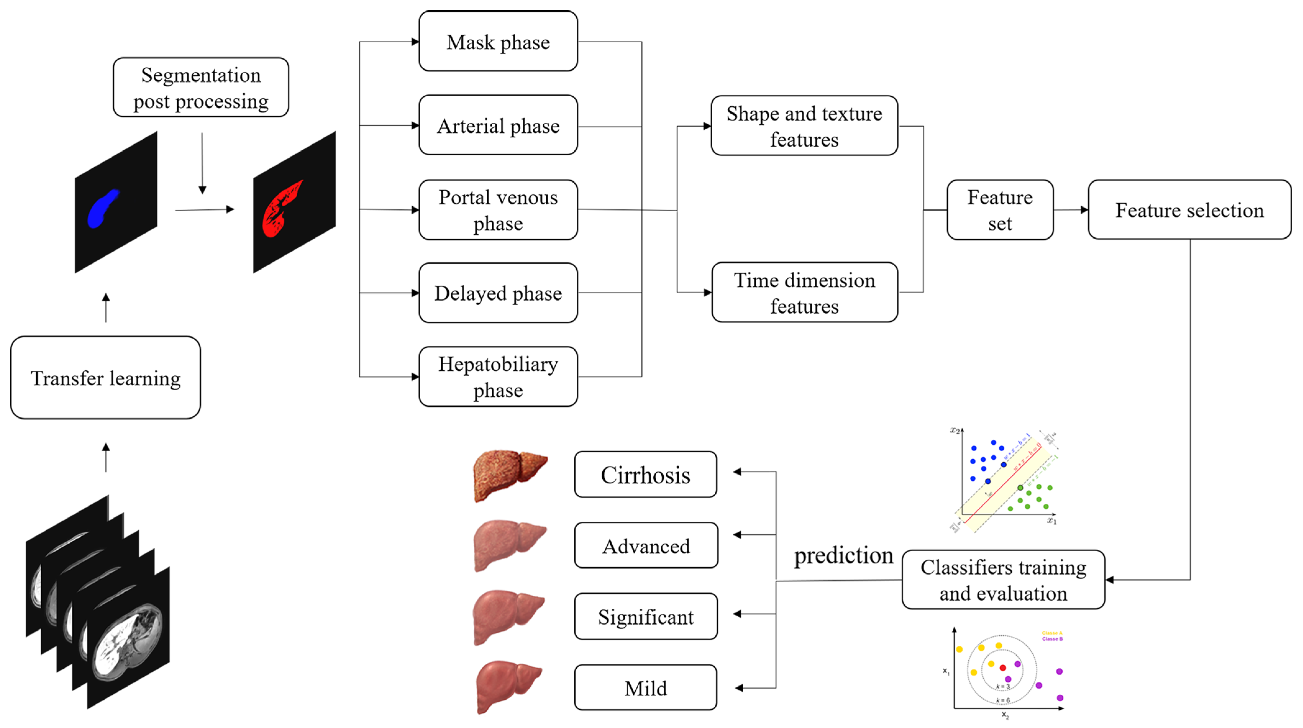 Biomolecules 11 00307 g001