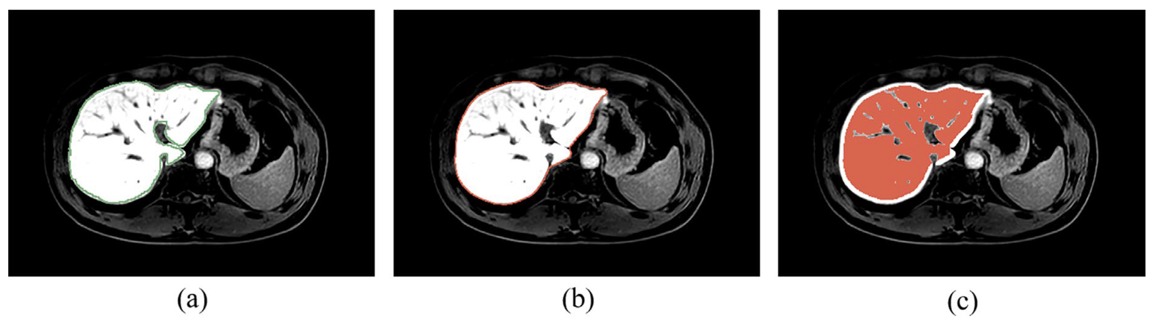 Biomolecules 11 00307 g003