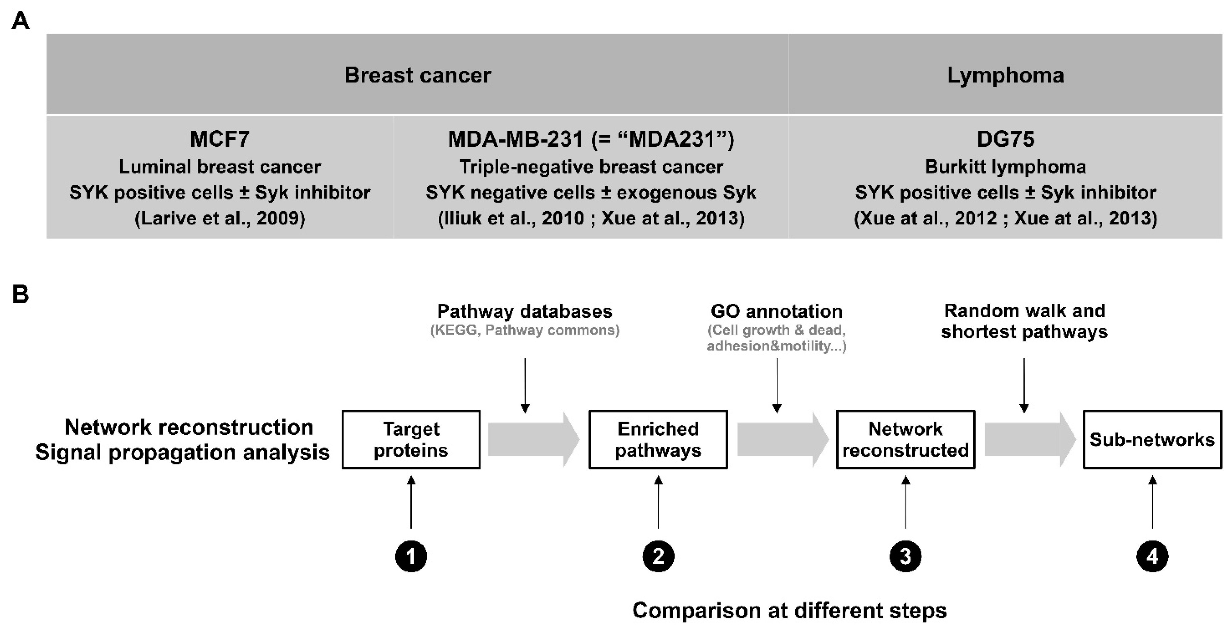 Biomolecules 11 00308 g001