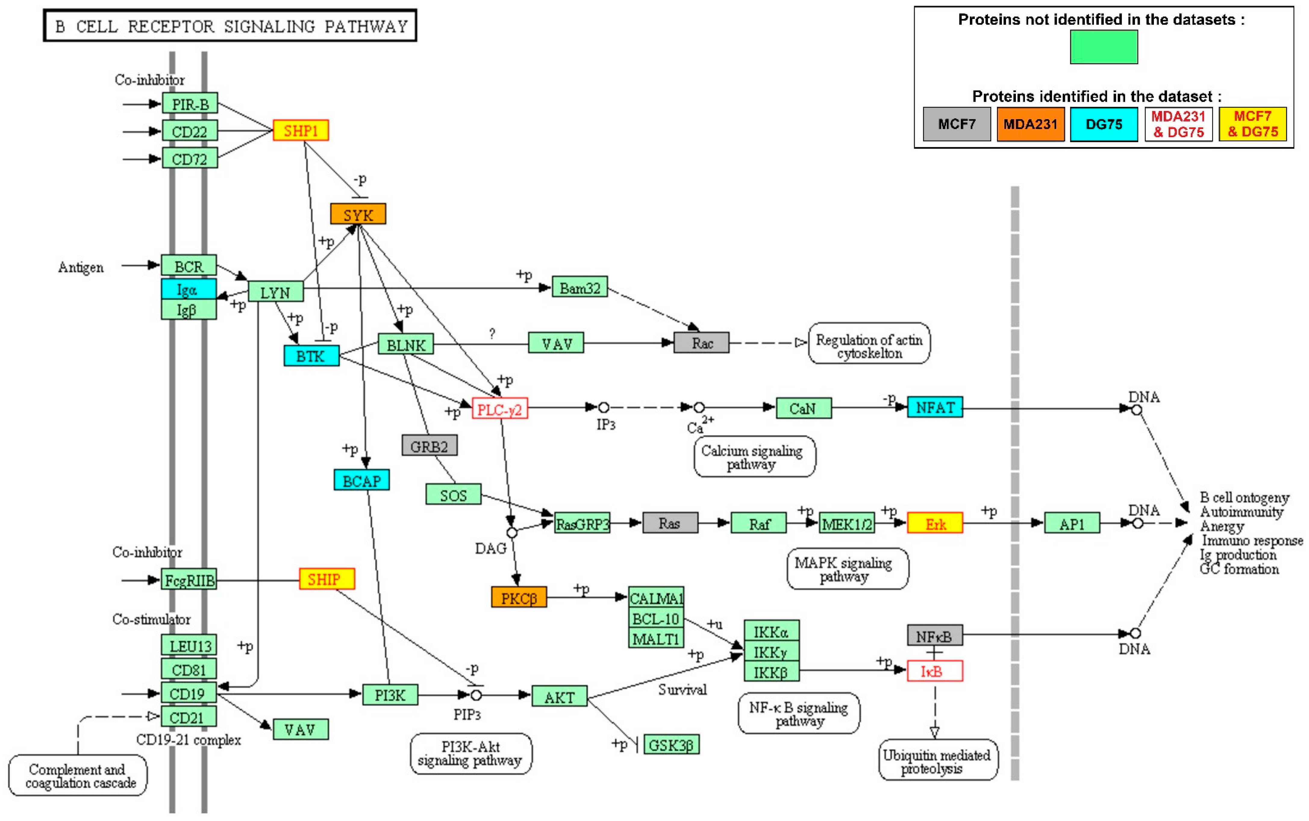Biomolecules 11 00308 g002
