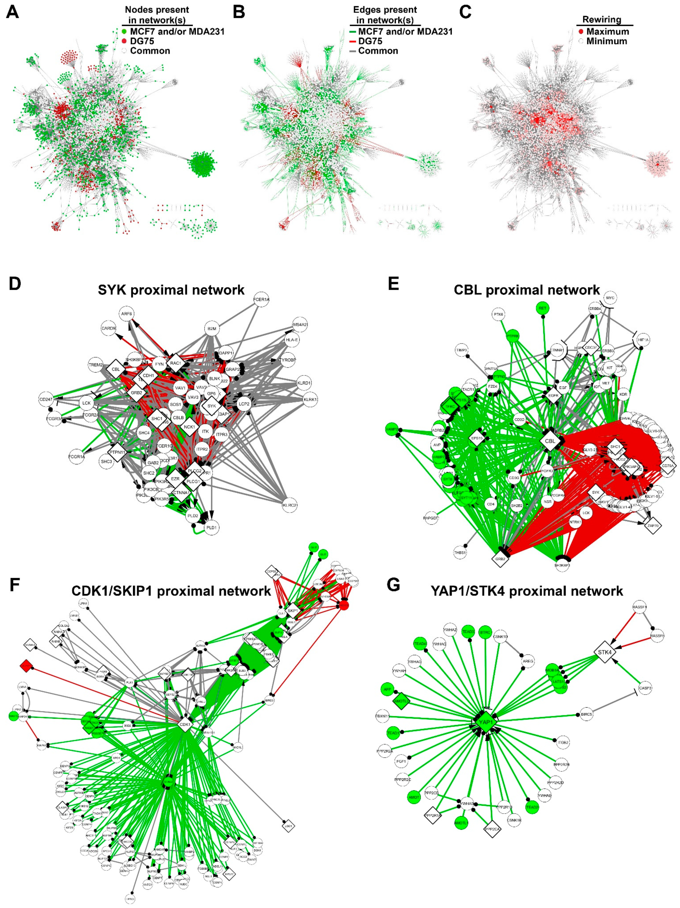 Biomolecules 11 00308 g004