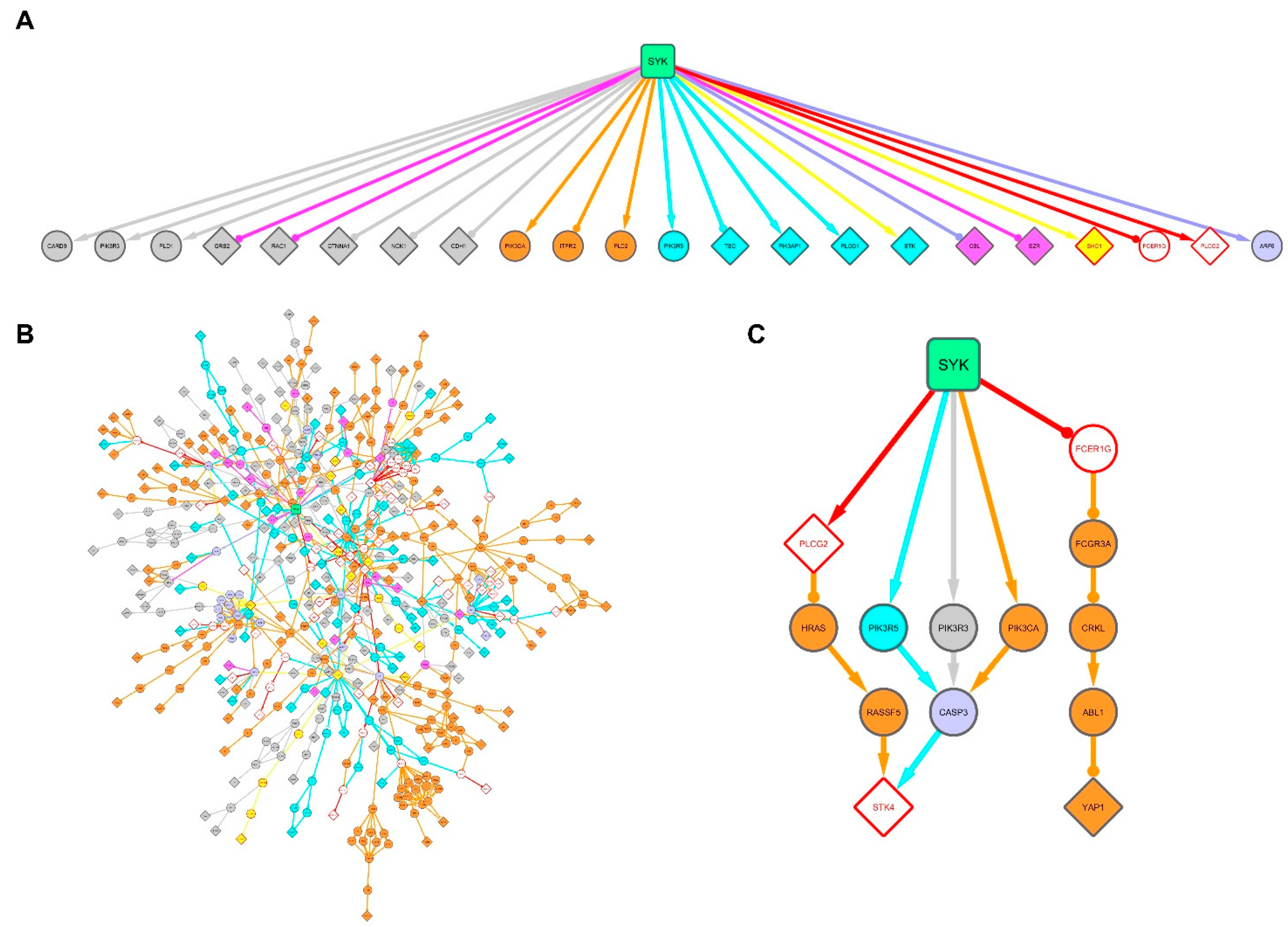 Biomolecules 11 00308 g005