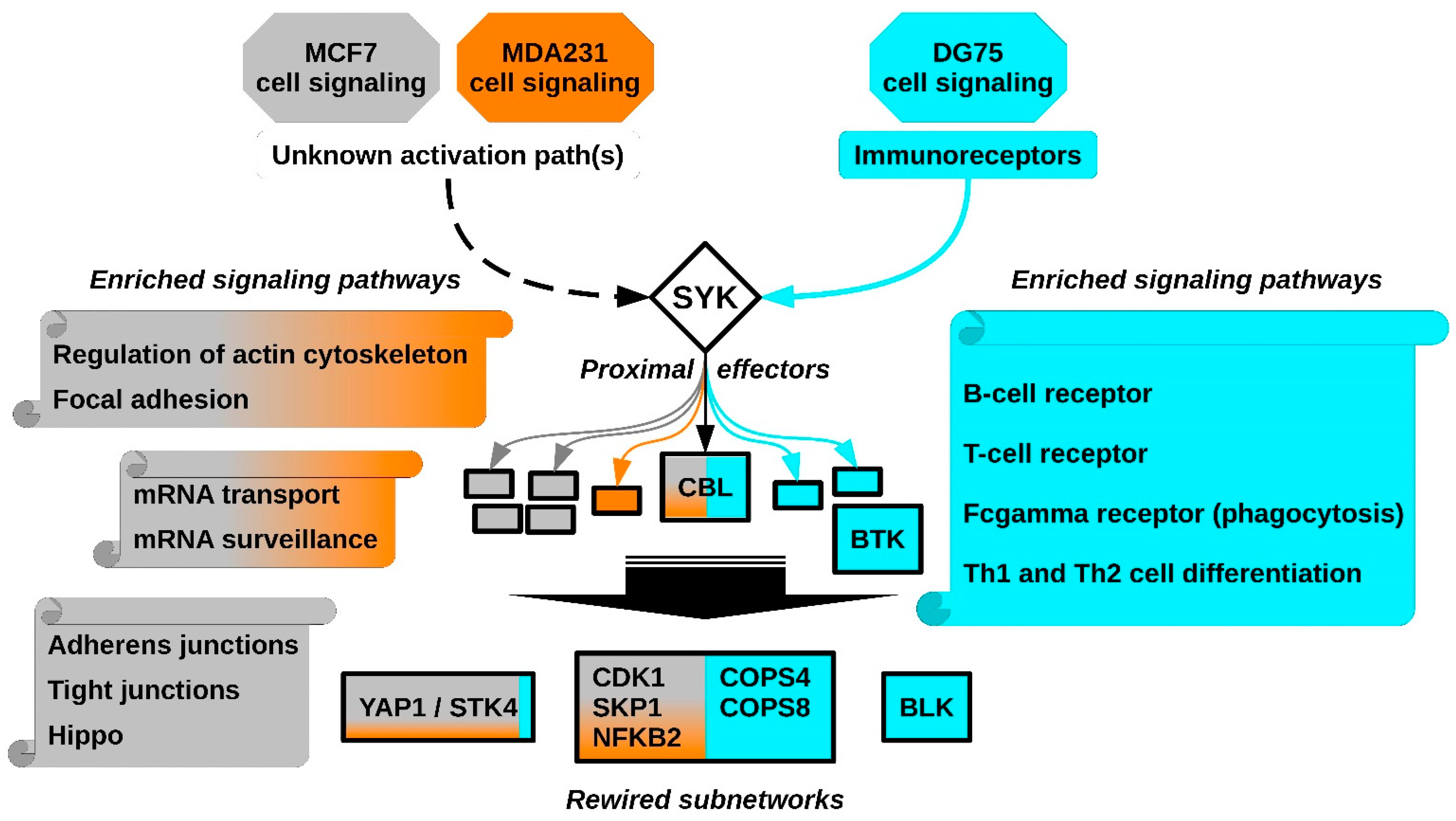 Biomolecules 11 00308 g006