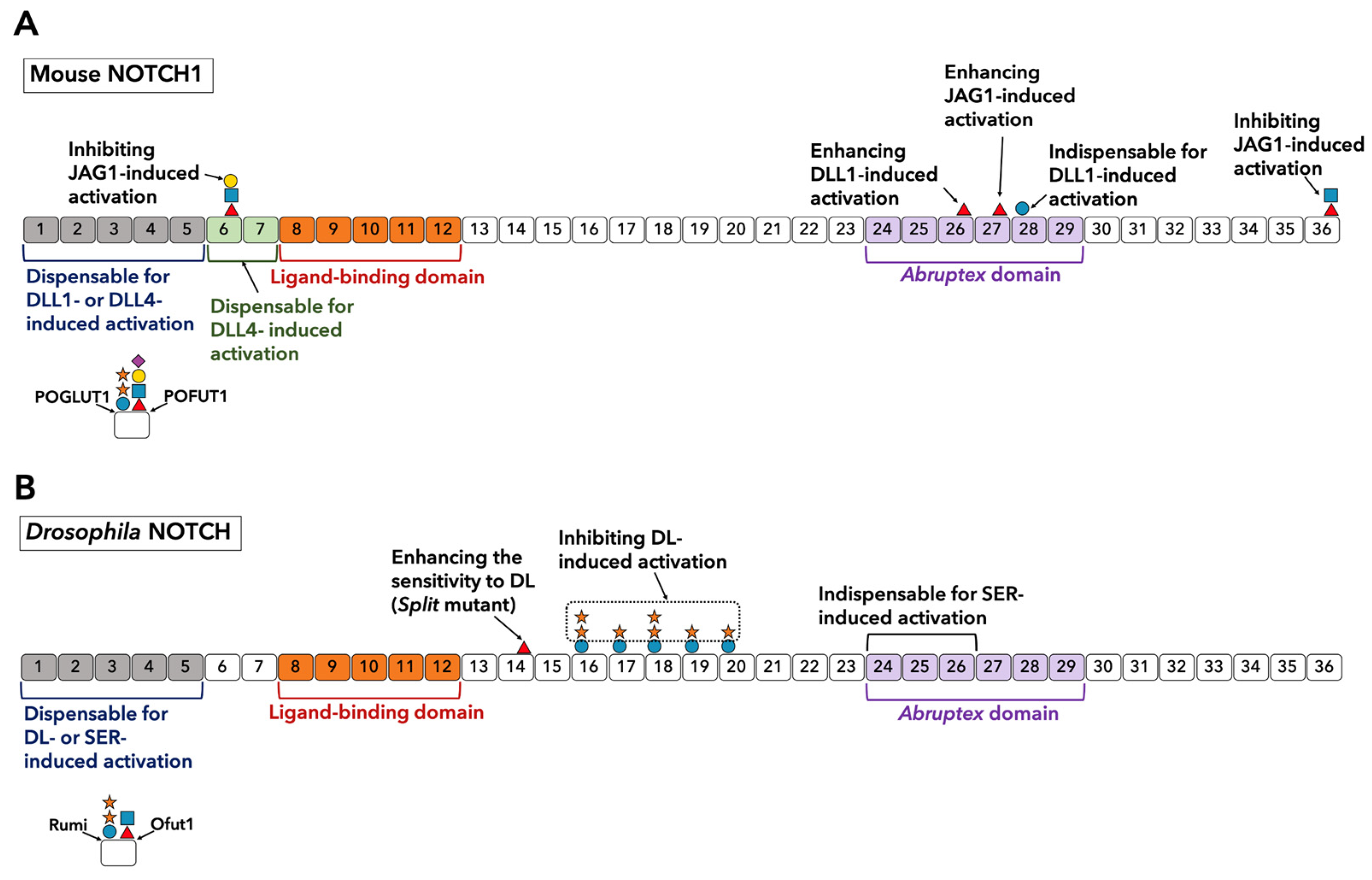 Biomolecules 11 00309 g004