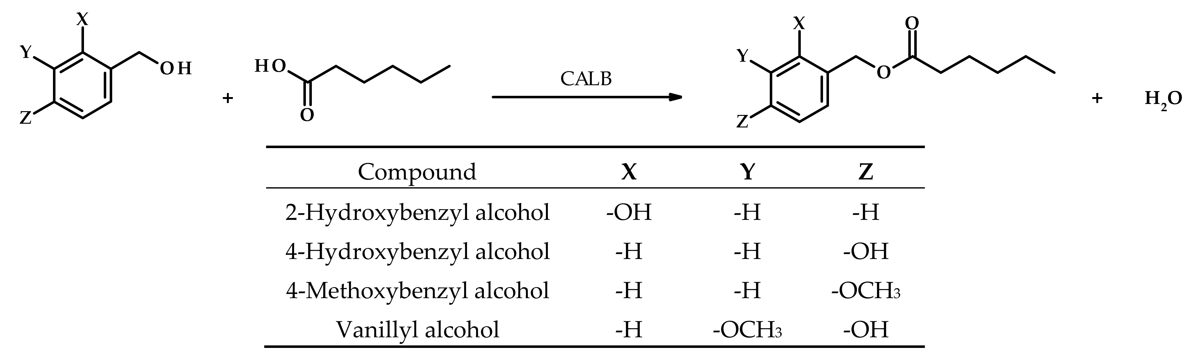 Biomolecules 11 00314 g001 Biomolecules 11 00314 g001