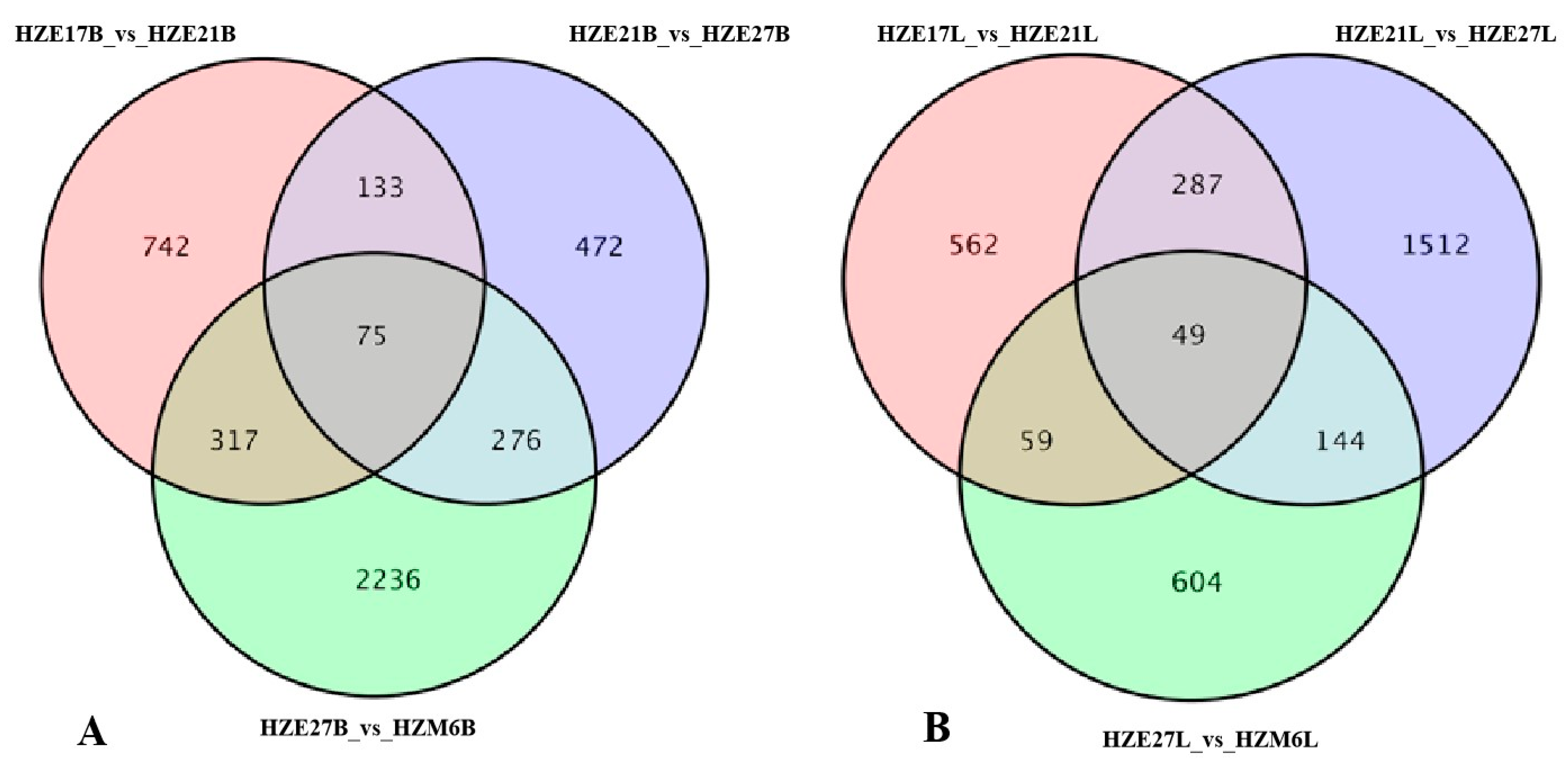 Biomolecules 11 00315 g004