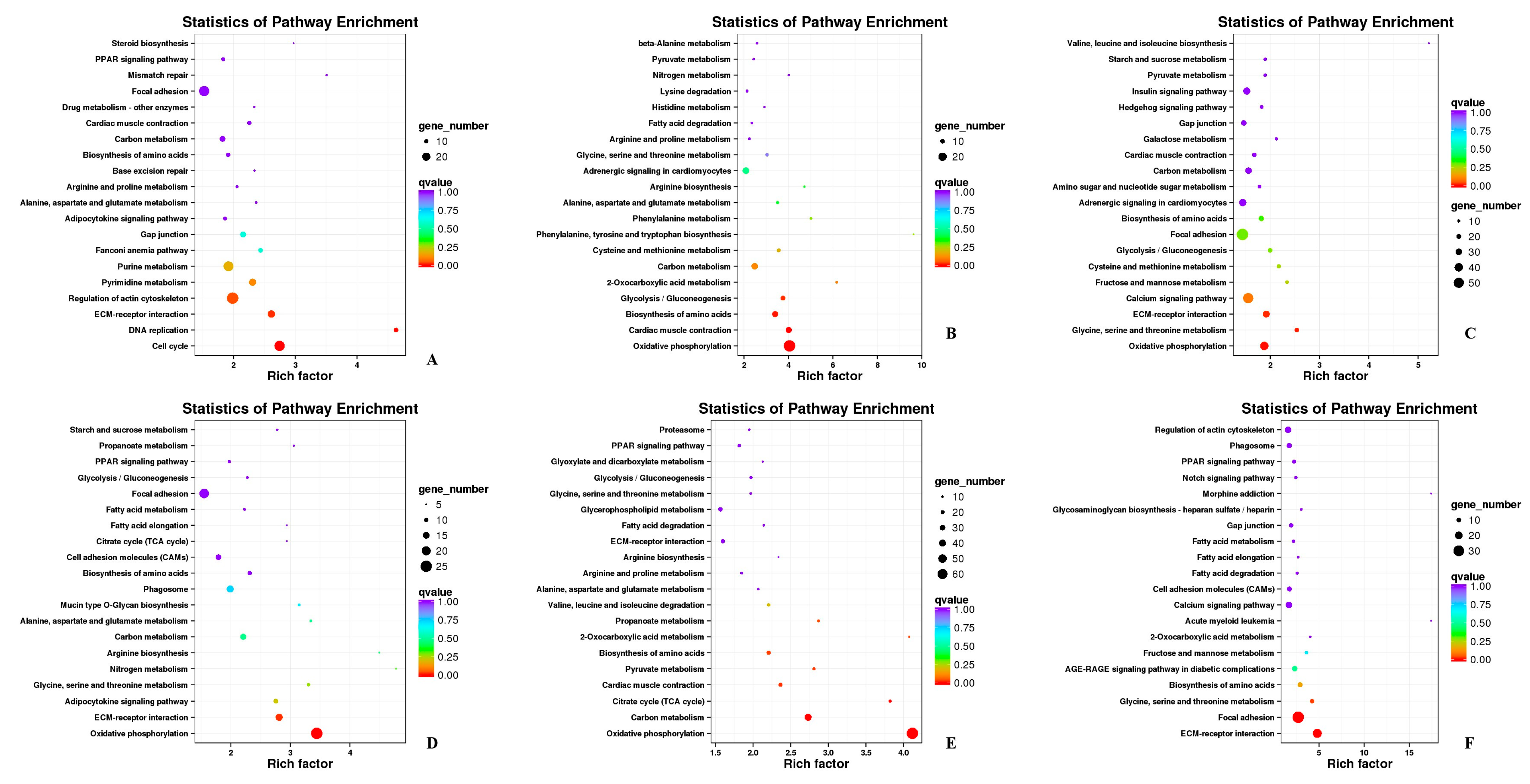 Biomolecules 11 00315 g006